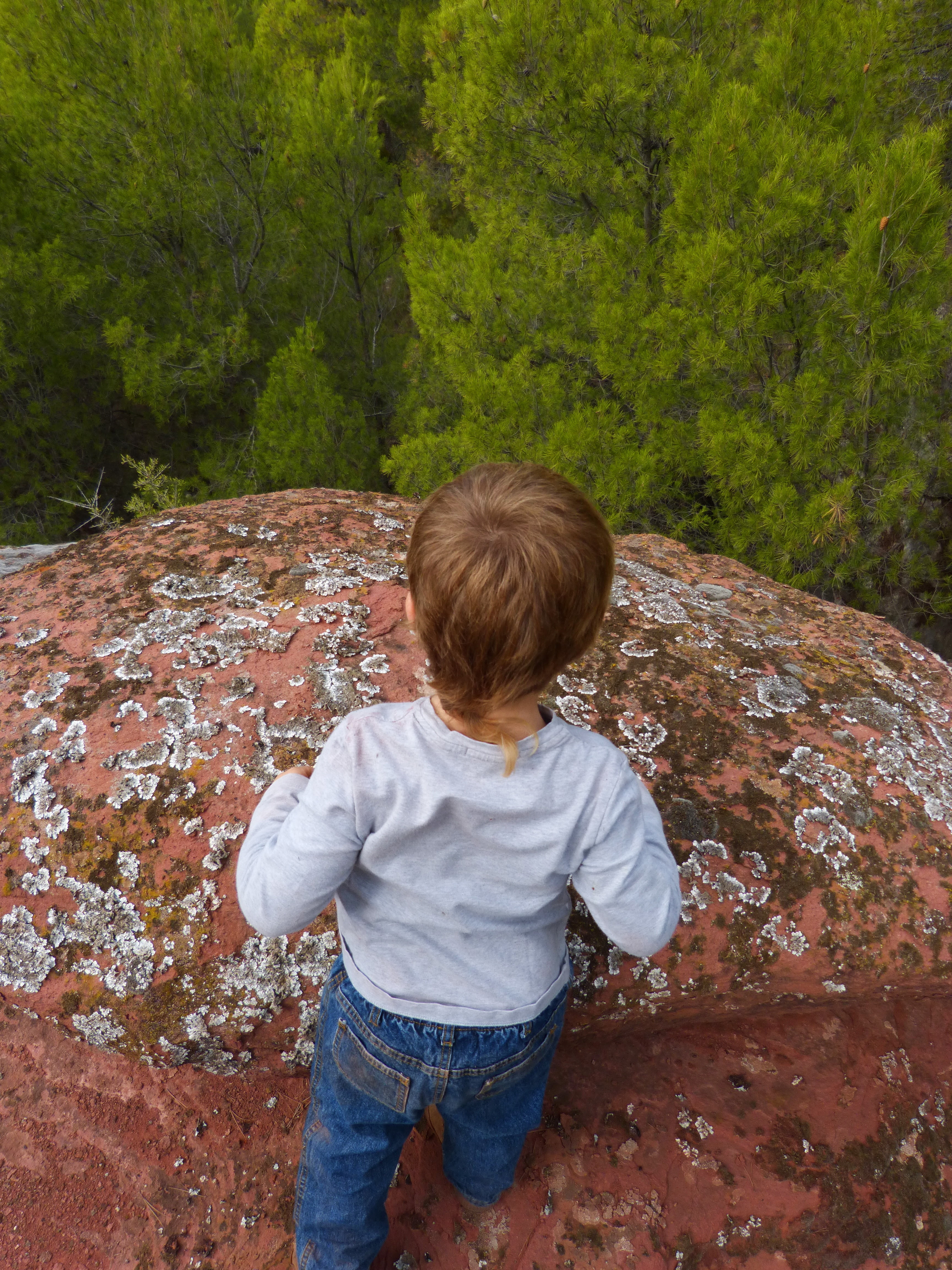 land, mountain, child, boys, nature, real people, rear view, abyss, males, day, rock, one Person, innocence, forest, childhood, red sandstone, leisure activity, Phone HD Wallpaper