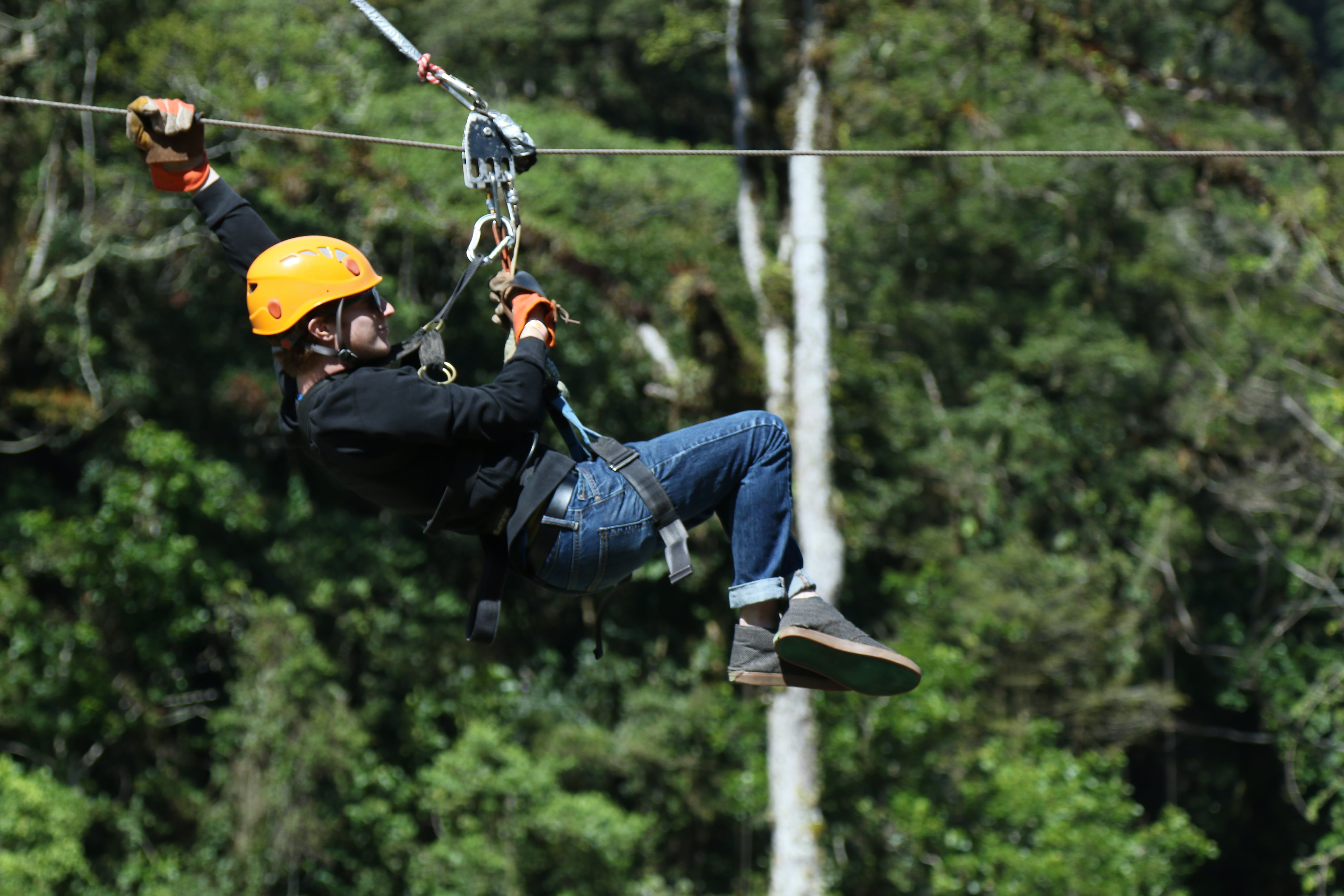 sports equipment, nature, forest, canoping, escalation, rescue, plant, protection, mountain, security, helmet, sport, real people, one person, safety harness, HD Wallpaper