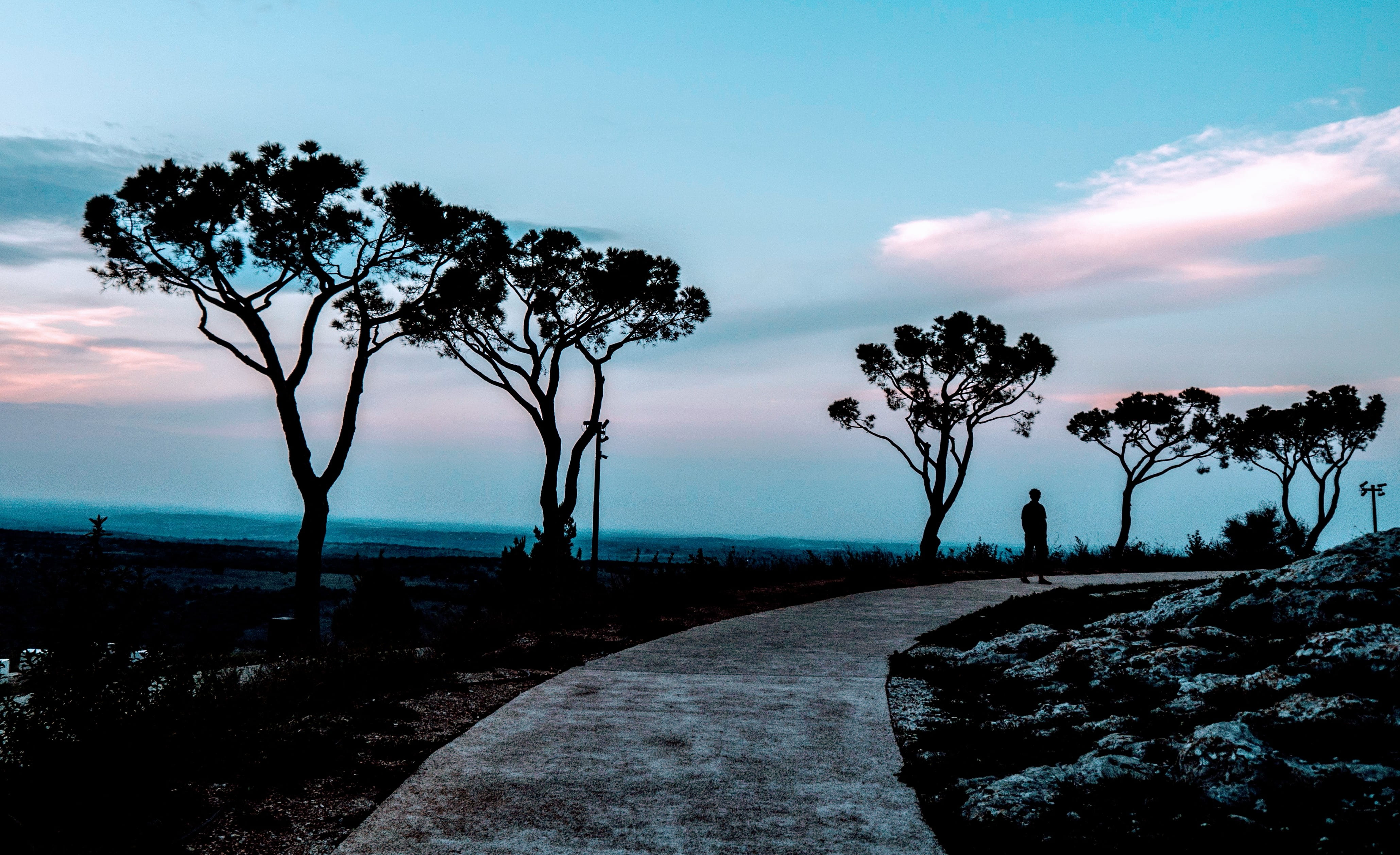 4K, non-urban scene, no people, outdoors, lonely, tree, cloud - sky, land, tranquility, the way forward, scenics - nature, environment, landscape, nature, HD Wallpaper