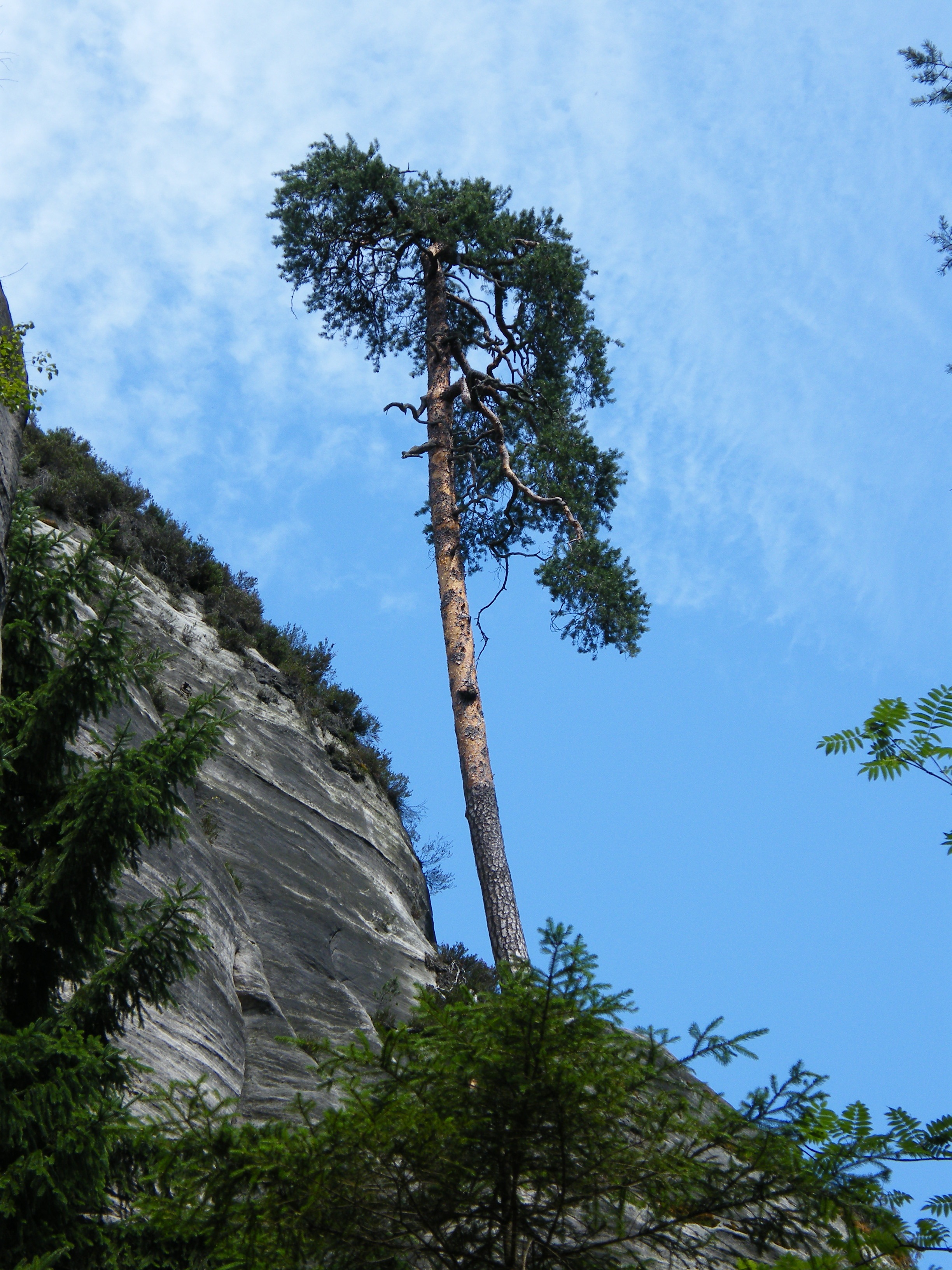 sky, green color, day, outdoors, adršpach, tranquility, summer, tropical climate, rocks, tree trunk, no people, nature, trunk, rock, tall - high, beauty in nature, Phone HD Wallpaper