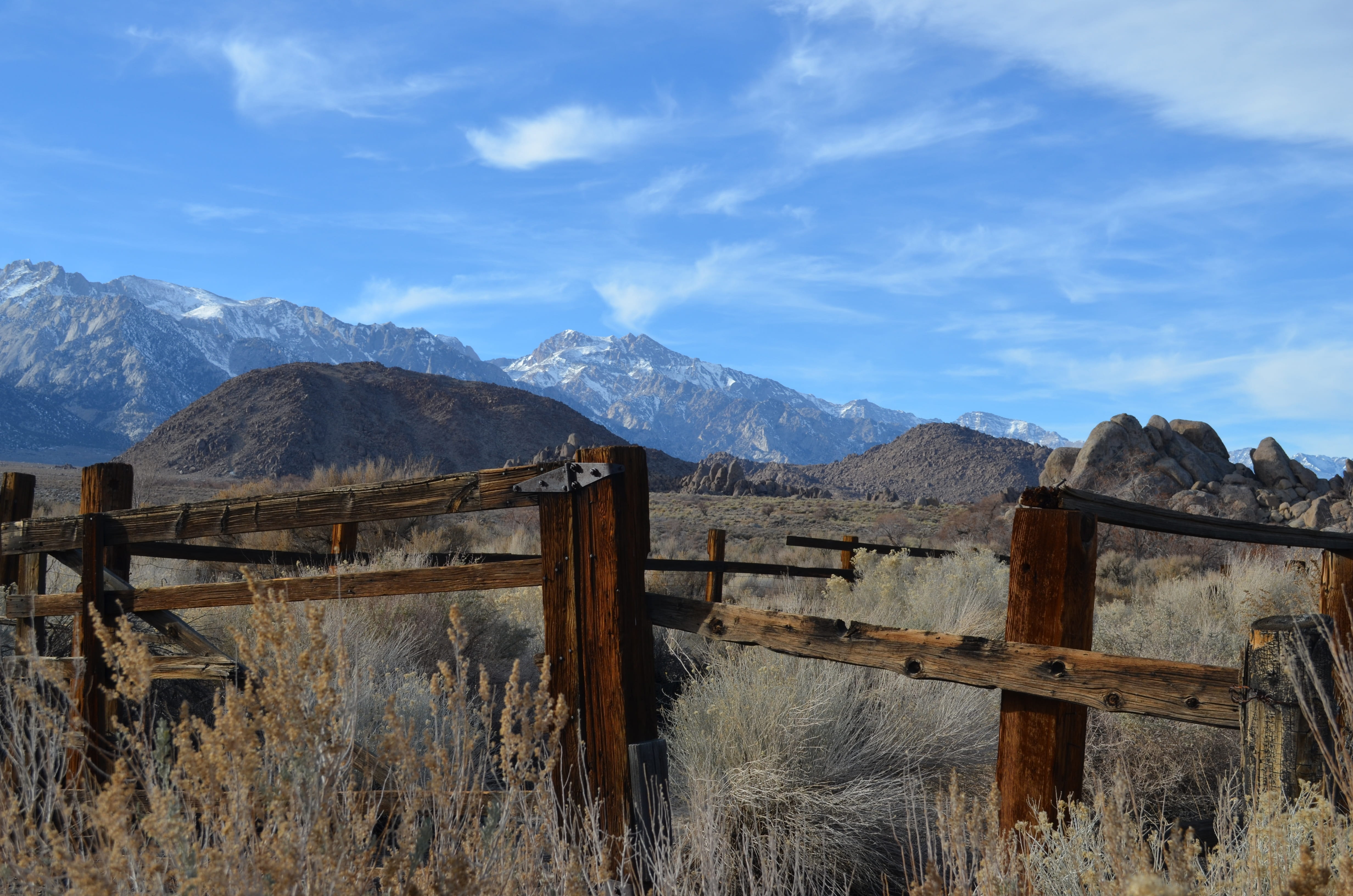 mountain, beauty in nature, cold temperature, winter, environment, nature, lone pine, non-urban scene, snow, fence, scenics - nature, boundary, day, snowcapped mountain, HD Wallpaper