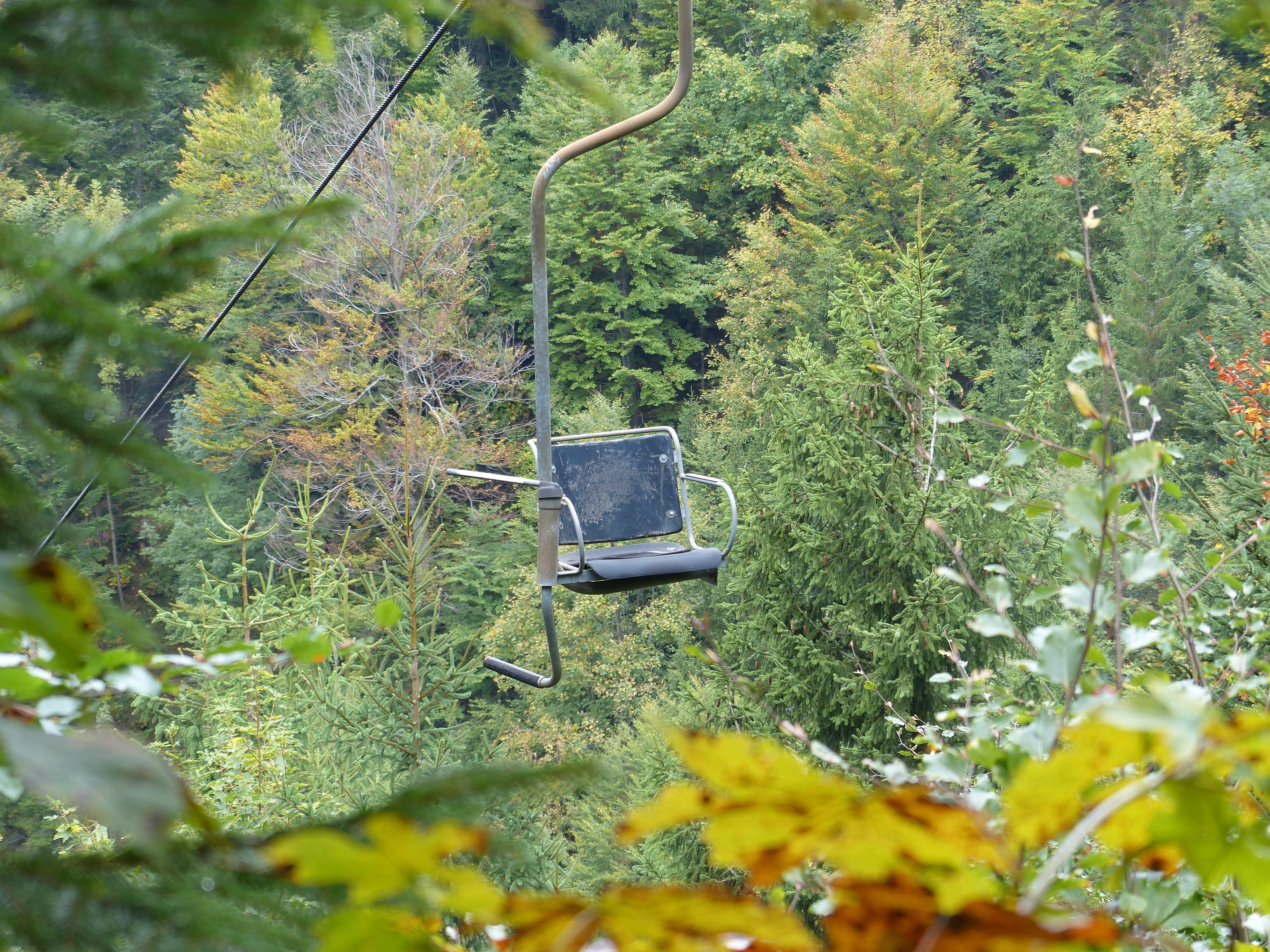 empty, day, Mountains, green color, Chairlift, plant, 4K, plant part, seat, growth, fir, nature, selective focus, no people, tranquility, forest, Lonely, HD Wallpaper