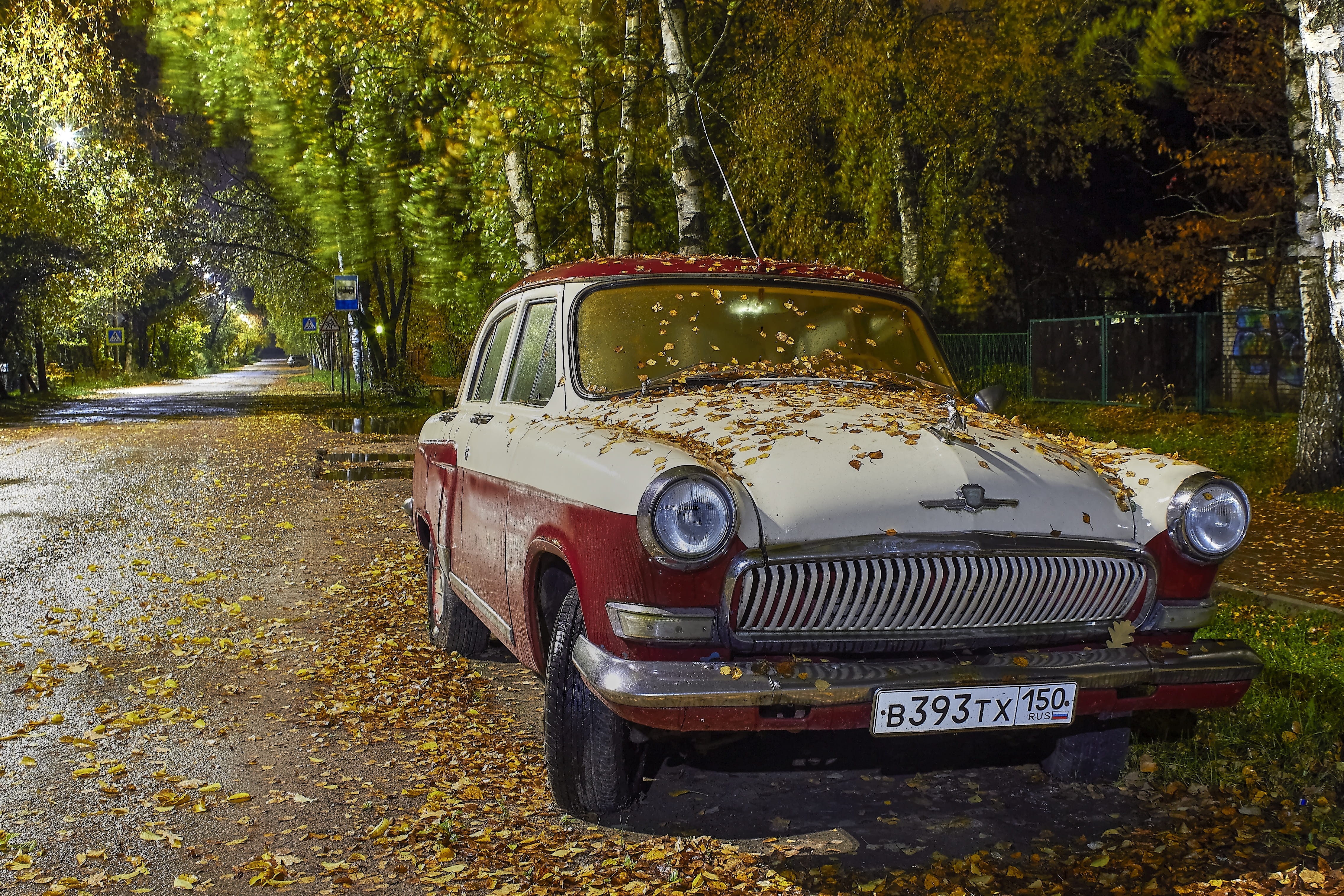 trasport, forest, road, growth, nature, 4K, transport, transportation, land, mode of transportation, old, no people, stationary, plant, retro cars, auto, HD Wallpaper