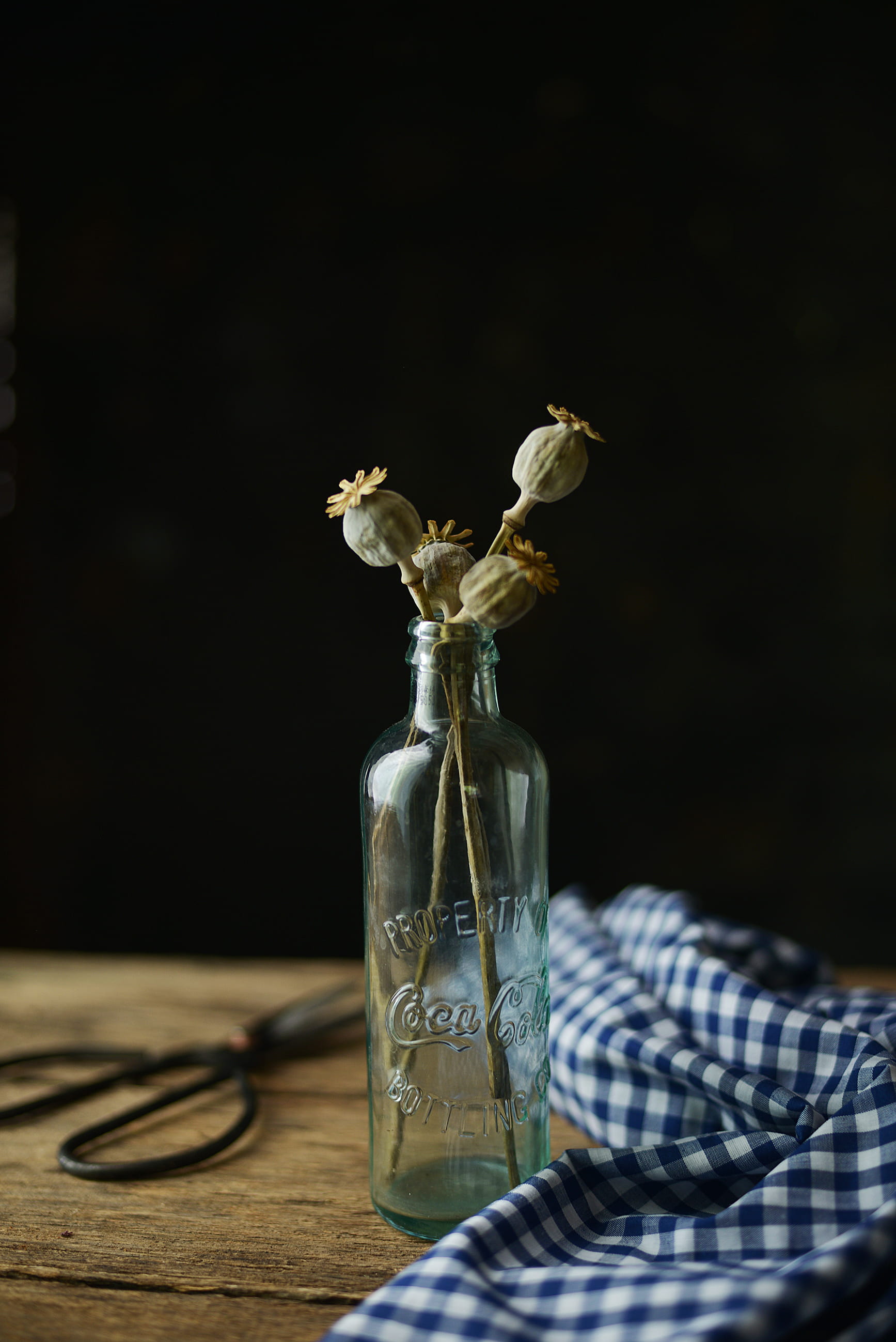 food and drink, dried poppy, bottle, white, poppy, beauty in nature, vulnerability, freshness, glass bottle, vase, poppies, transparent, container, nature, Phone HD Wallpaper