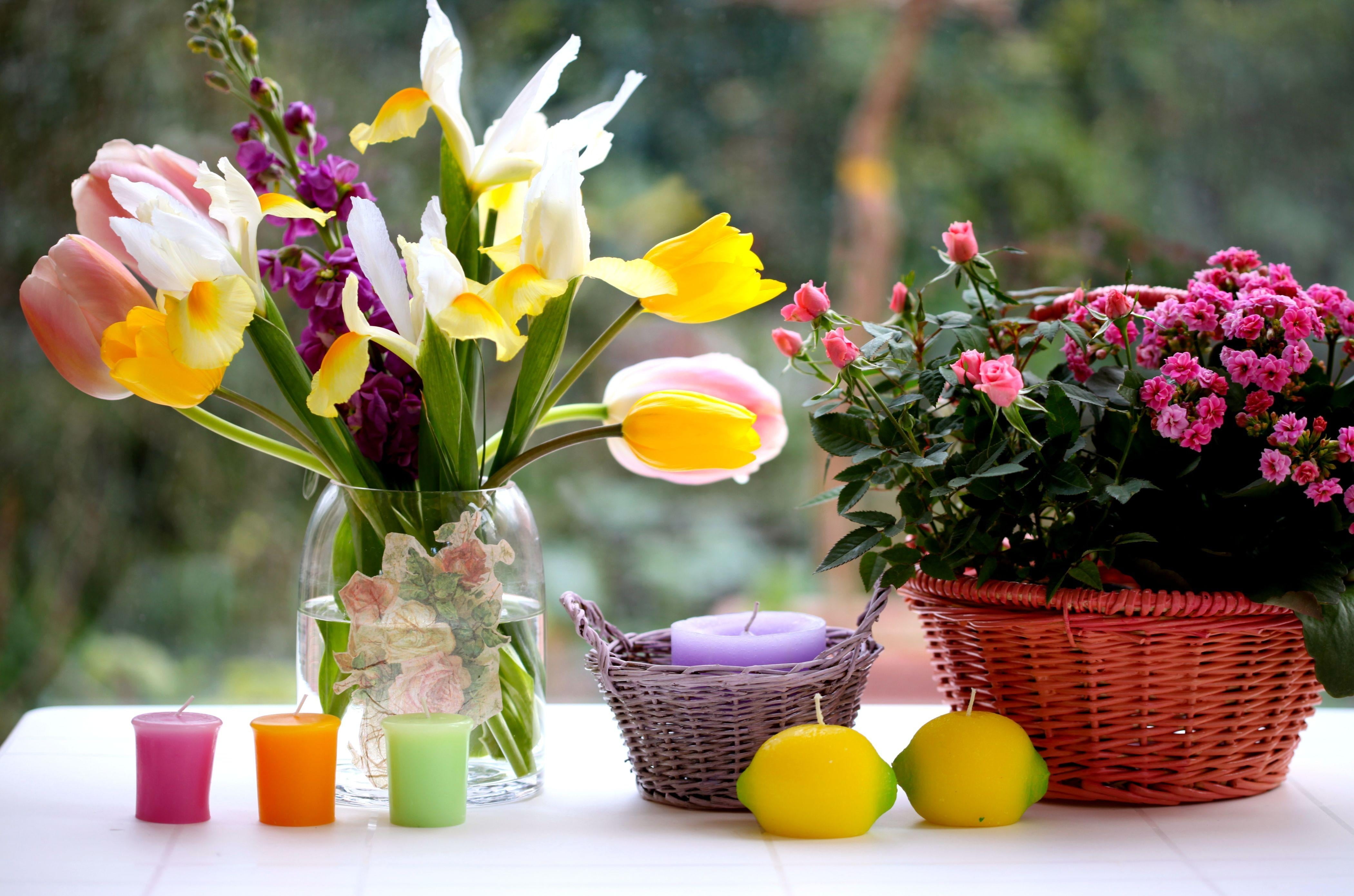 vulnerability, summer, springtime, petal, basket, blossom, purple, day, fragility, outdoors, flower, decor, tulips, irises, focus on foreground, easter, HD Wallpaper