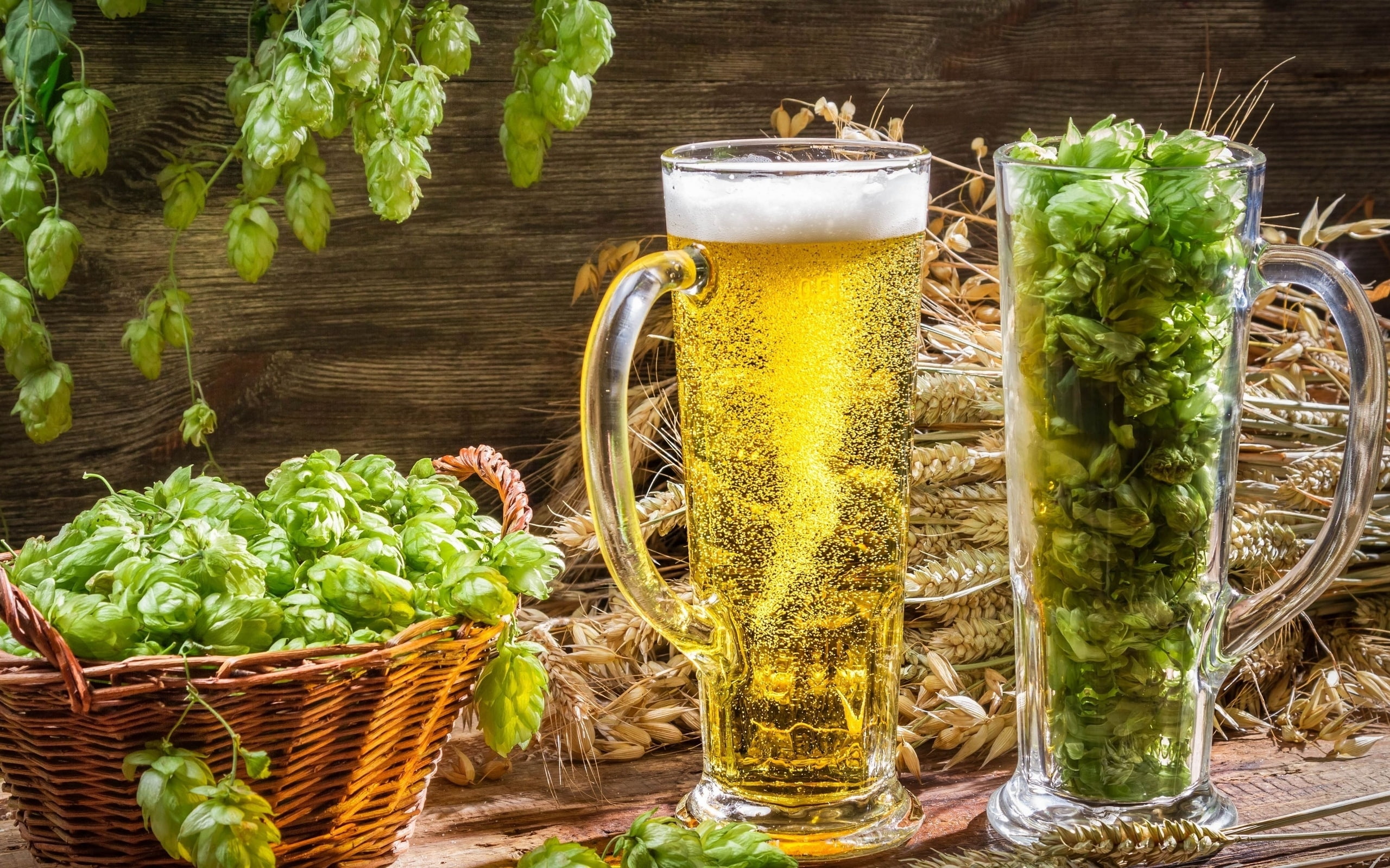 hoops, glass, basket, mugs, beer, 2K, clear, HD Wallpaper