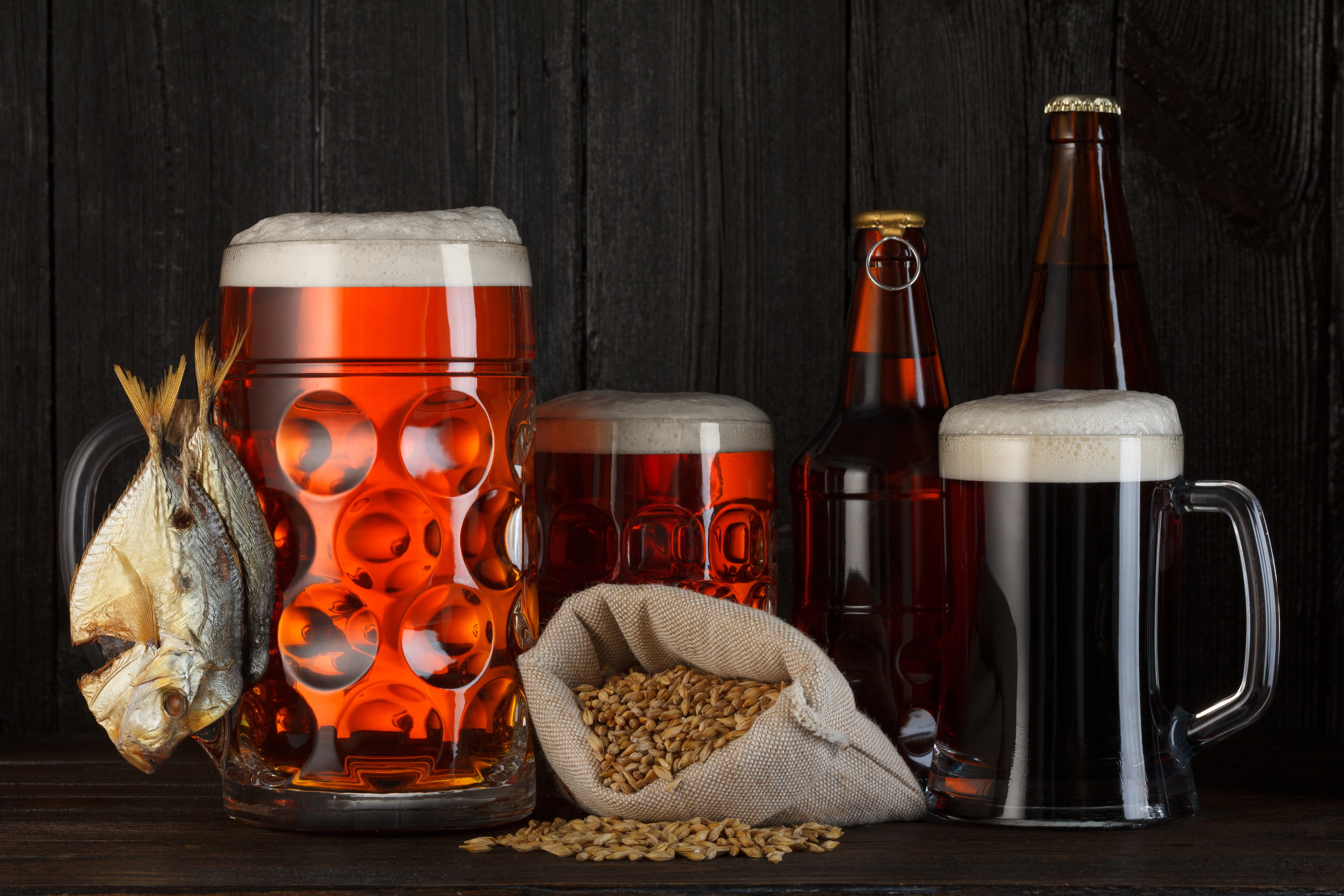 bottle, 5K, grain, mugs, fish, foam, beer, HD Wallpaper
