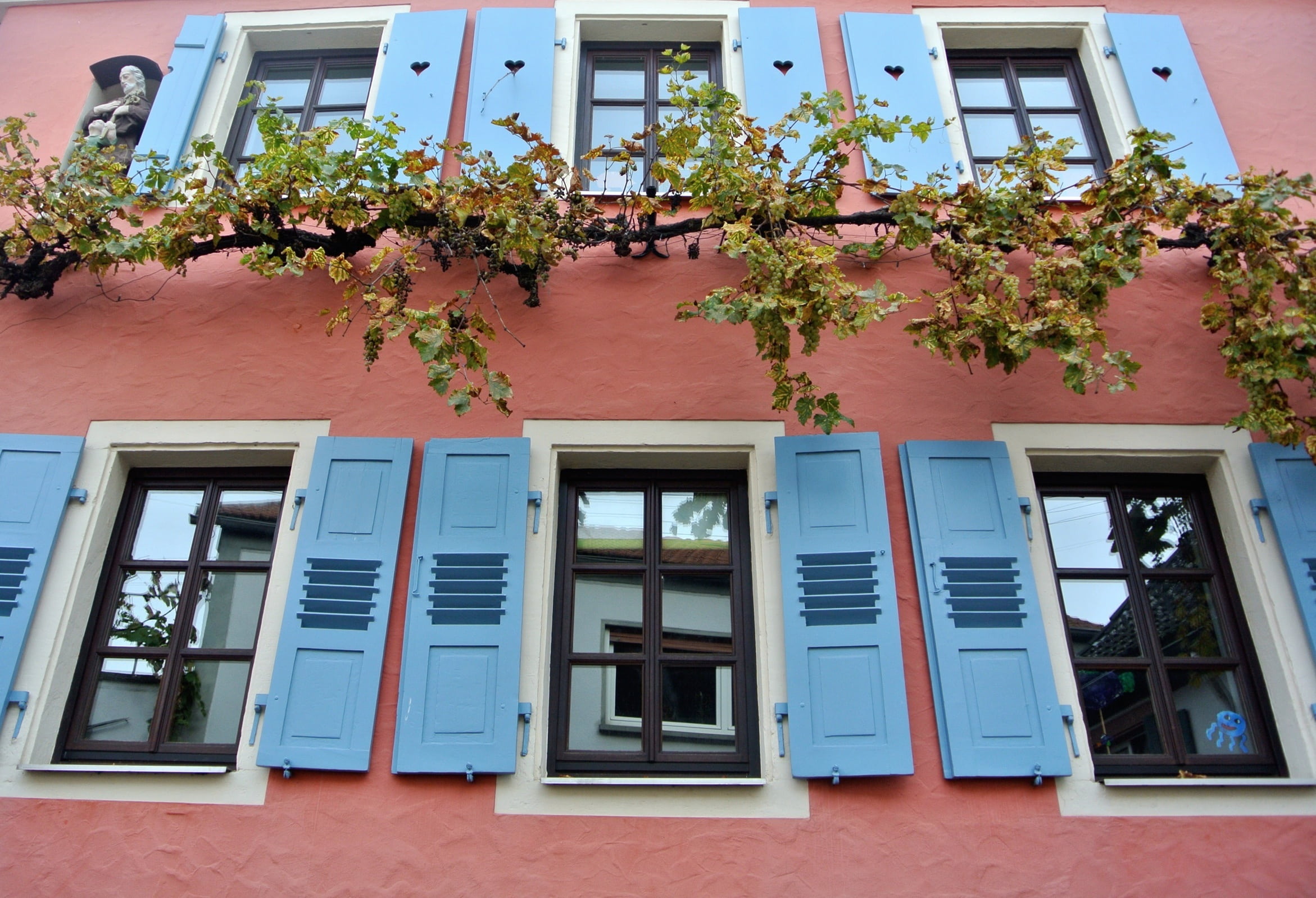 historically, 1080P, hauswand, lattice windows, tree, flower pot, truss, window frame, shutters, blue, potted plant, shutter, nature, idyllic, growth, HD Wallpaper