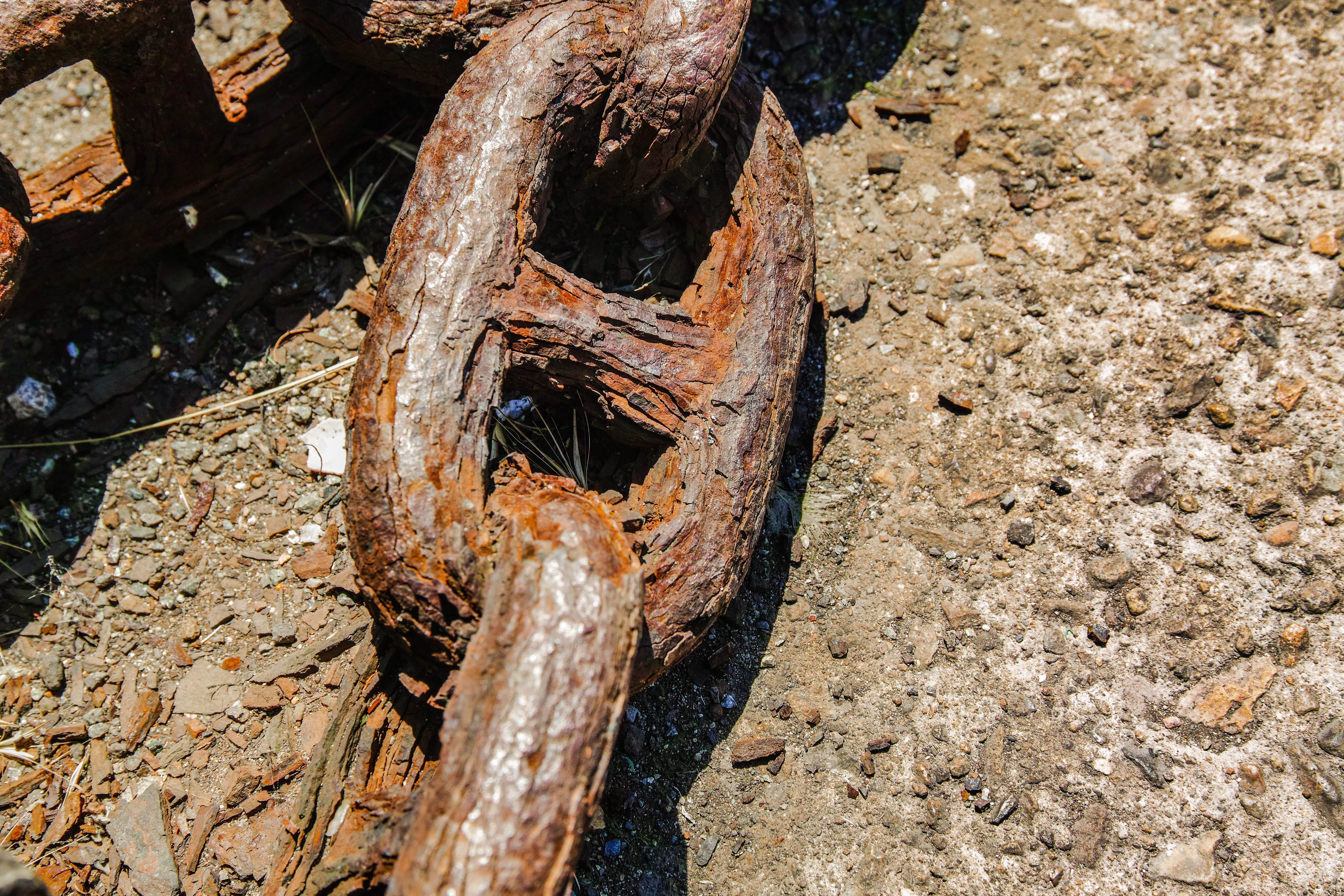 damaged, day, wood, outdoors, land, mysterious, 5K, sea, ship, boat, nature, close-up, factory, deterioration, chain, high angle view, rust, building, HD Wallpaper