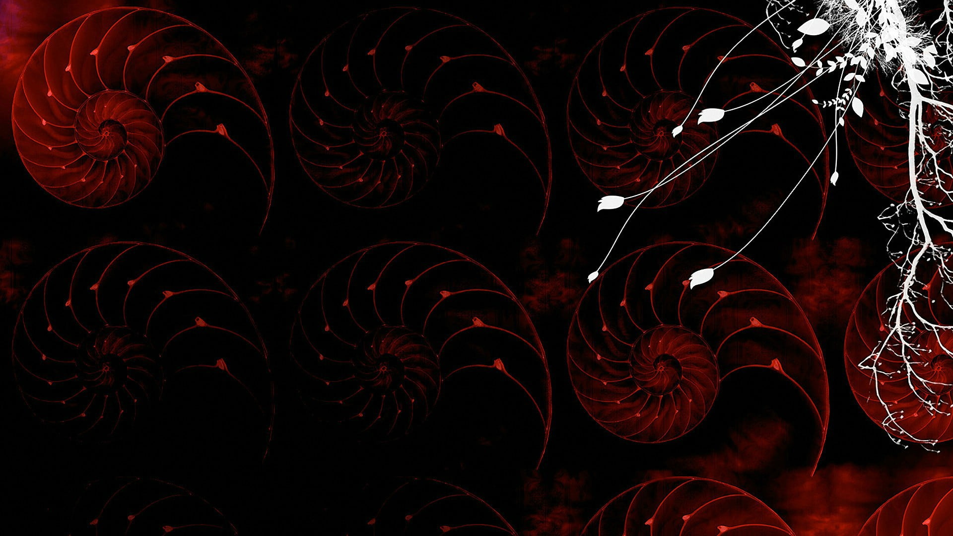 red, dynamic, futuristic, computer, black background, abstraction, effect, 1080P, shiny, space, transparent, backdrop, no people, close-up, lines, colorful, HD Wallpaper
