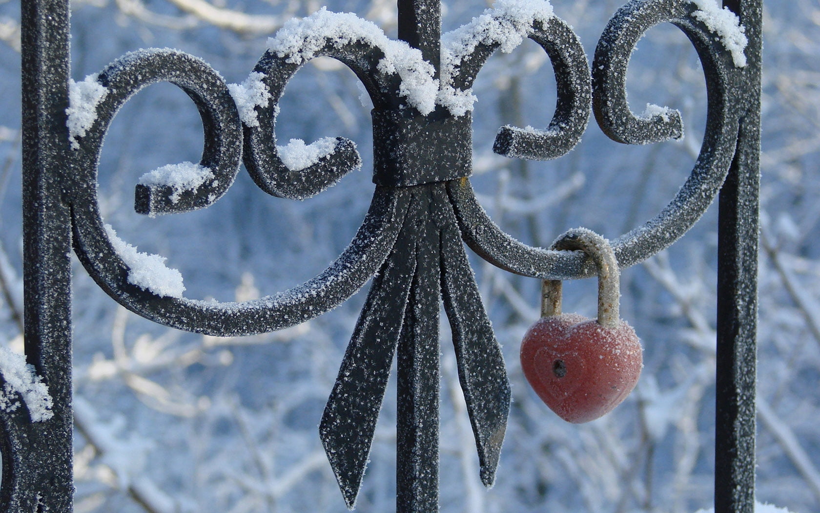 blue, fruit, nature, security, freshness, no People, iron - Metal, metal, frost, winter, snow, close-up, 720P, gate, outdoors, hanging, shaped, pattern, HD Wallpaper