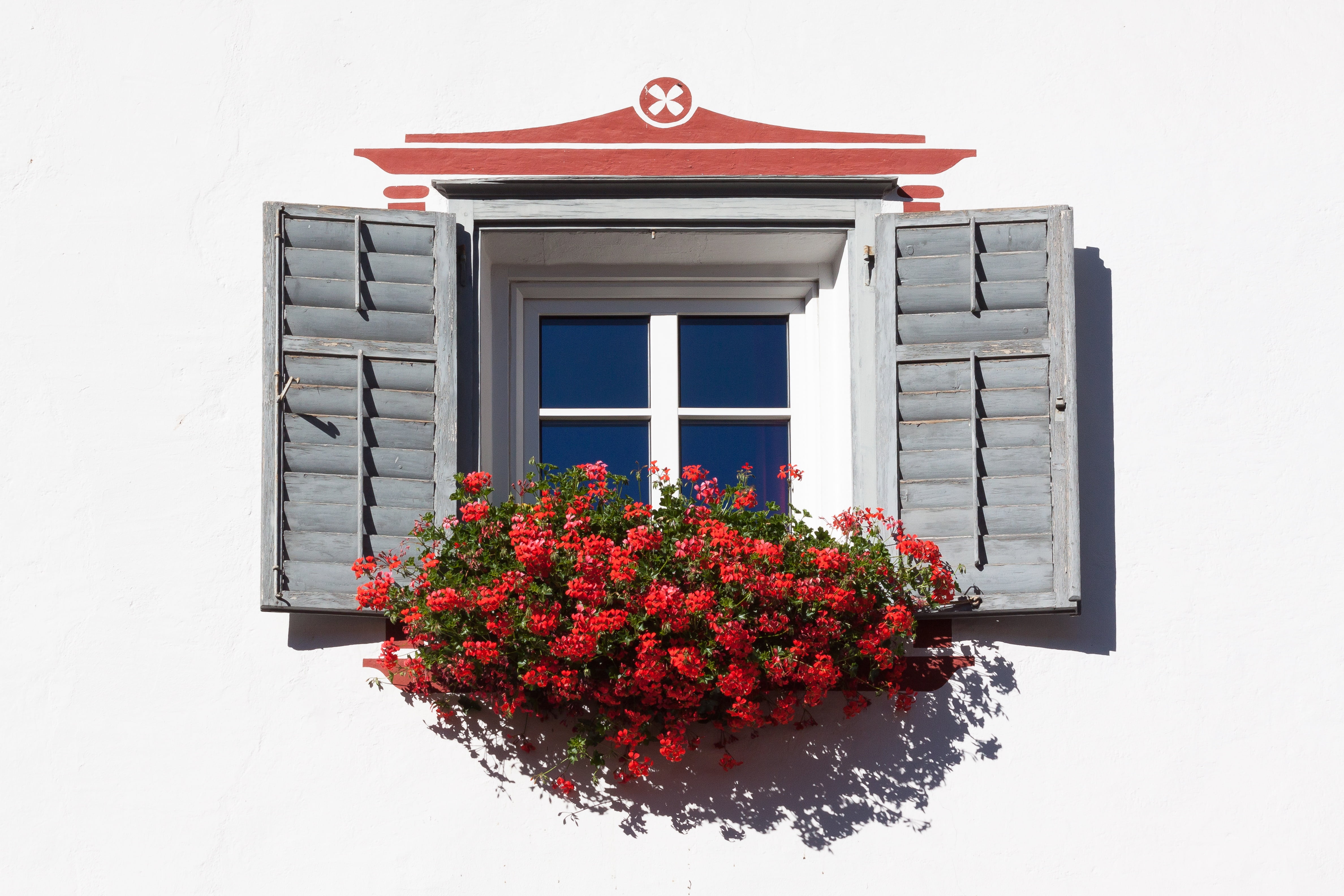 decorated, photography, window, building exterior, building, gray, freshness, painting, growth, 4K, nature, outdoors, flowering plant, residential building, HD Wallpaper