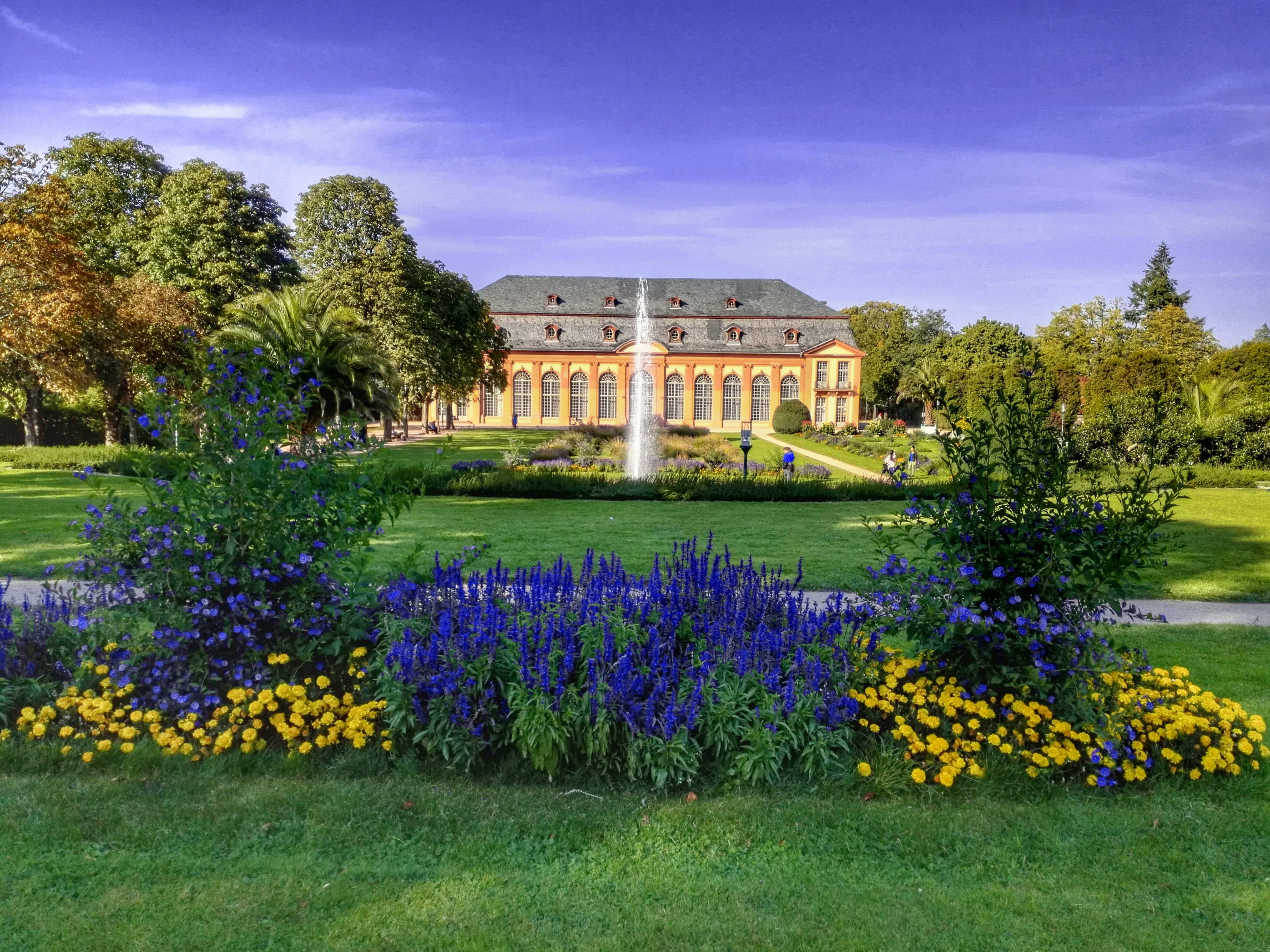 building exterior, growth, Hesse, purple, park, nature, blue, springtime, green Color, flowering plant, built structure, plant, outdoors, lawn, garden, HD Wallpaper