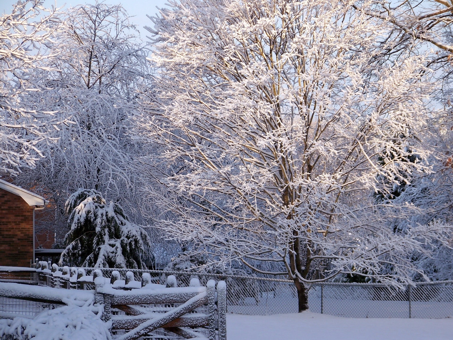 frozen, outdoors, architecture, beauty in nature, extreme weather, Lattice, Protection, land, covering, white color, snowing, bare tree, field, 1080P, HD Wallpaper