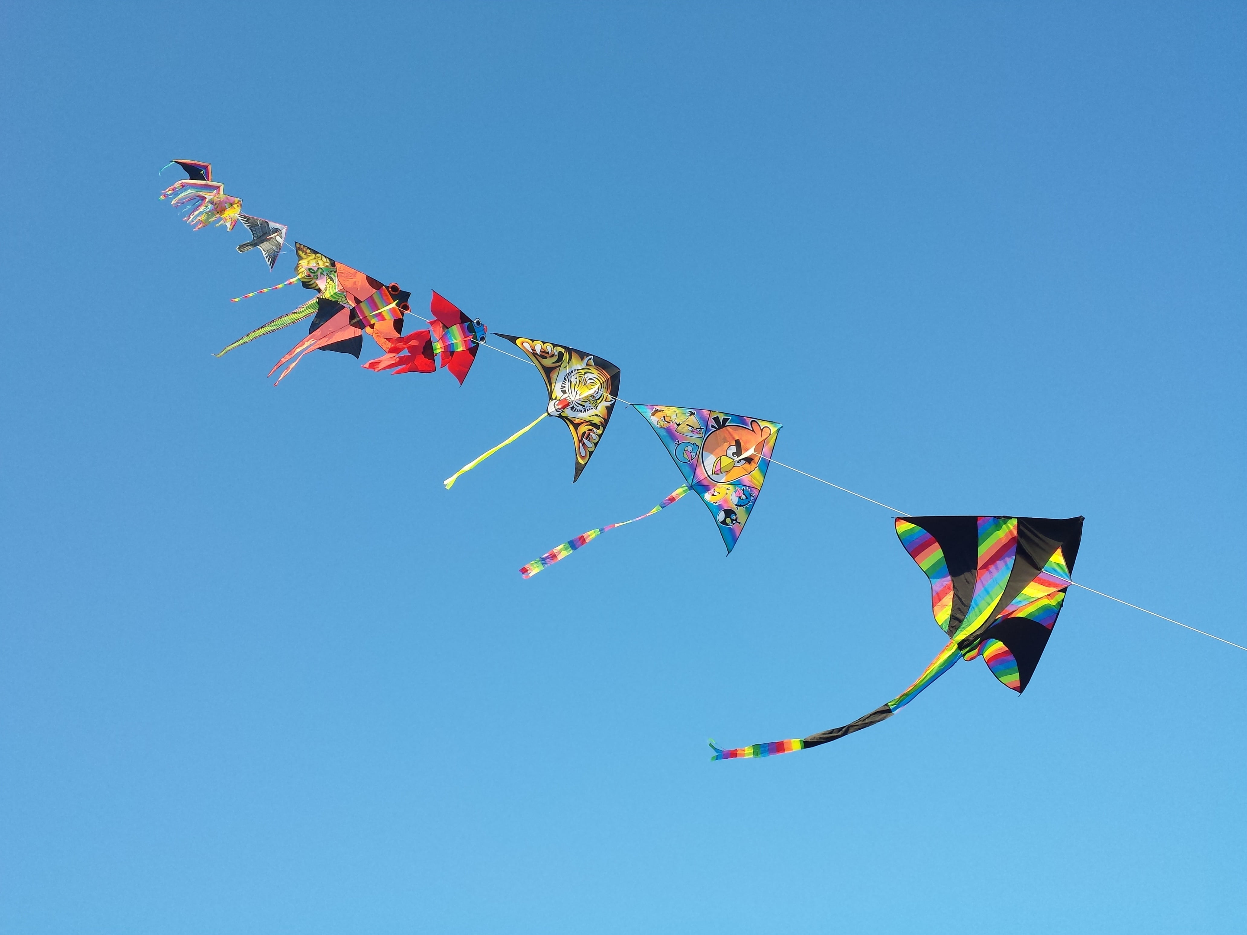 clear sky, selective, creativity, mid-air, kite - Toy, animal representation, 4K, sky, photograph, no people, nature, outdoors, flying, blue, kite, day, HD Wallpaper