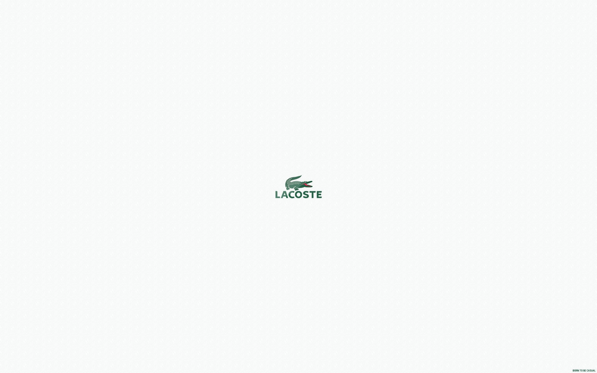 western script, no people, indoors, white color, communication, internet, technology, copy space, studio shot, white background, full frame, sign, symbol, HD Wallpaper