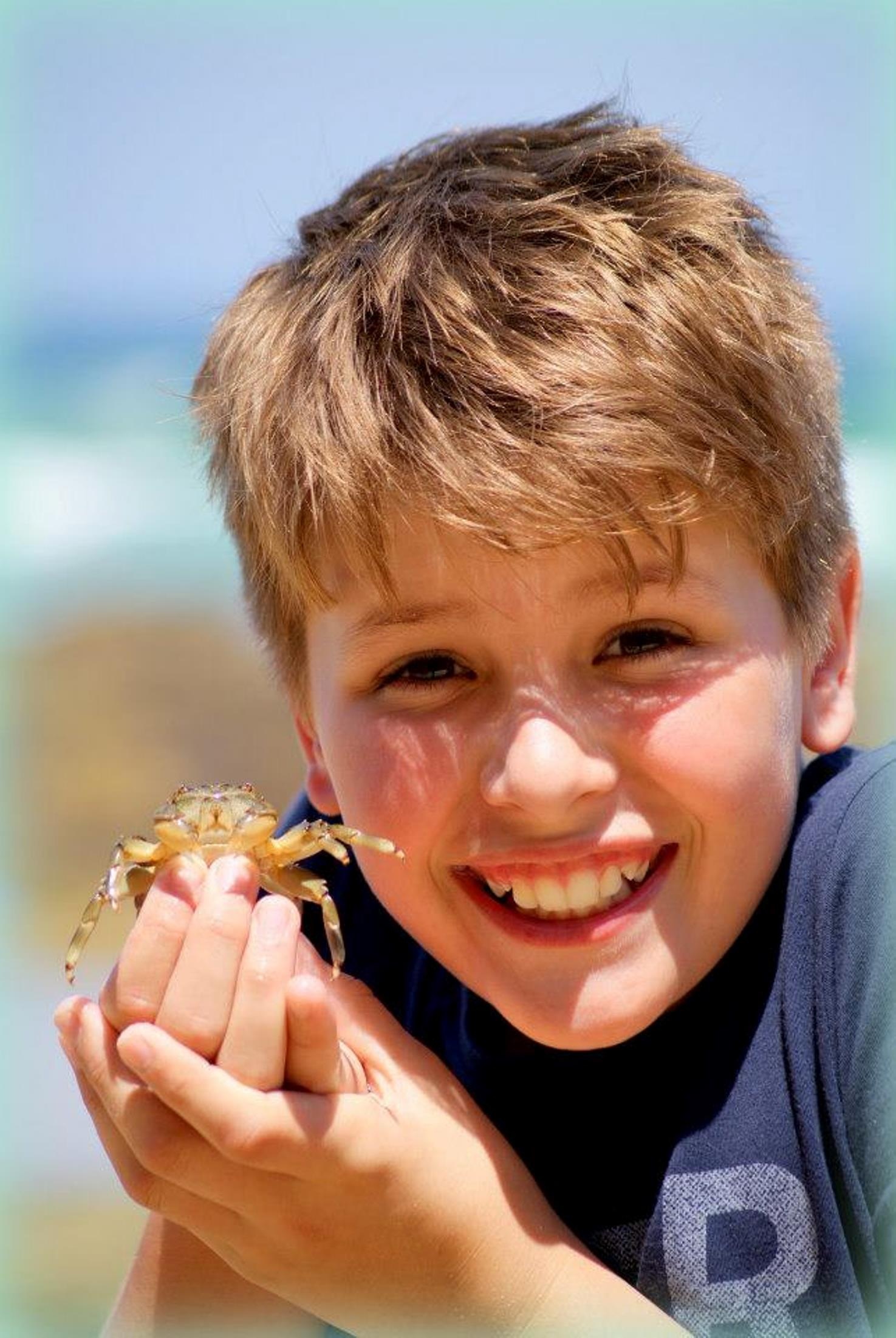 holding, summer fun, close-up, vacation, emotion, people, real people, ocean, crab, summer, males, family fun, coast, playing, family on beach, childhood, Phone HD Wallpaper