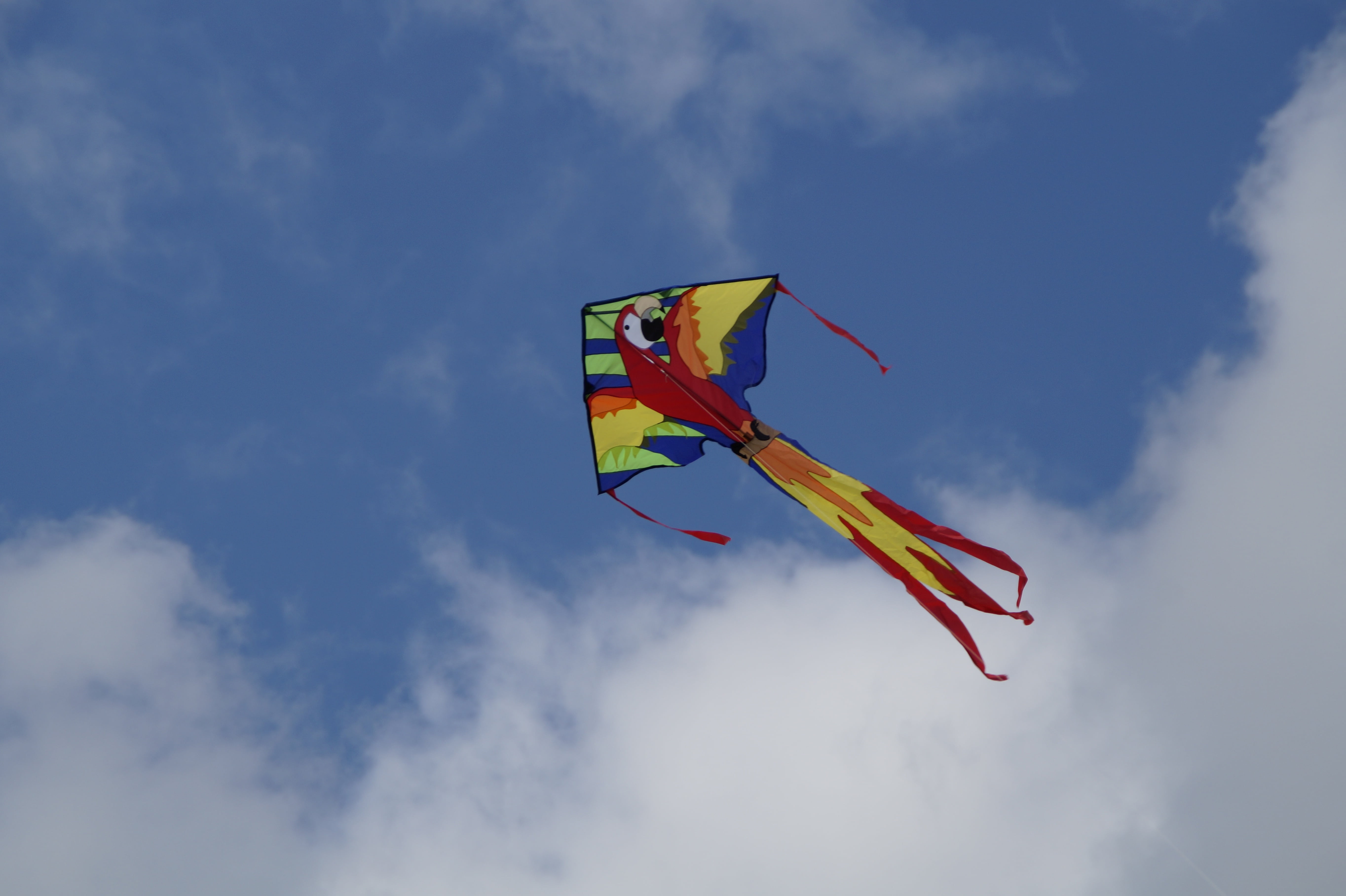 toys, nature, low angle view, herbstwind, day, excitement, environment, blue, 5K, motion, outdoors, no people, sky, dragons, kites rise, cloud - sky, flag, HD Wallpaper