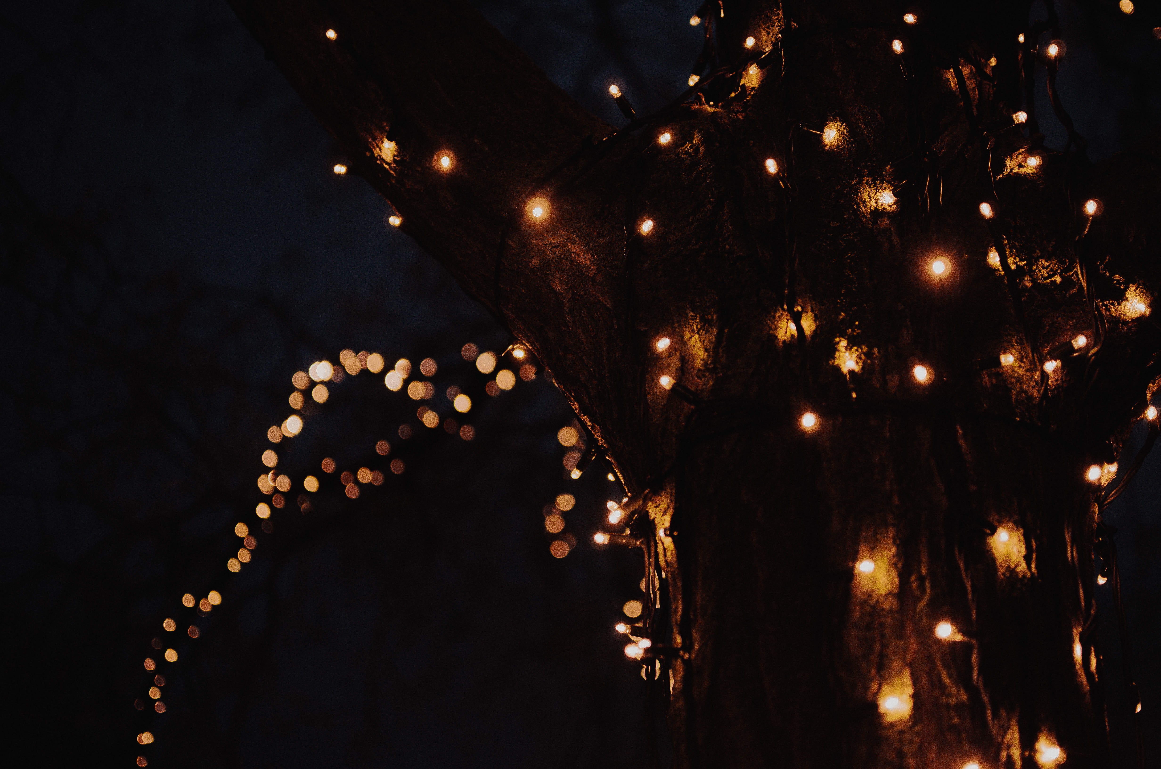 holiday, night, lighting, starry sky, night life, decoration, space, light - natural phenomenon, electricity, no people, human, outdoors, christmas decoration, HD Wallpaper