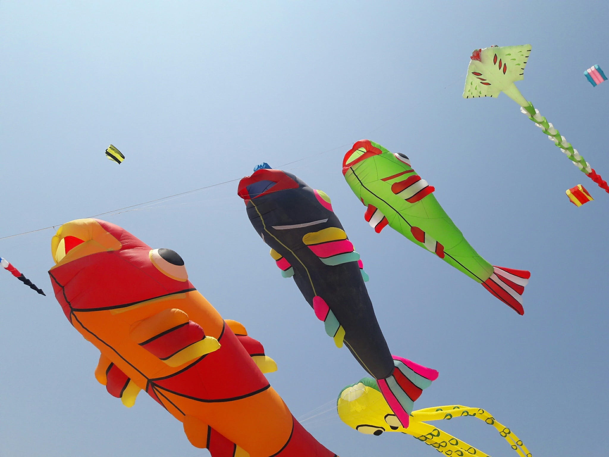 arts culture and entertainment, sky, hua hin, low angle view, mid-air, nature, kite, leisure activity, clear sky, motion, sunlight, flying, kite - toy, HD Wallpaper
