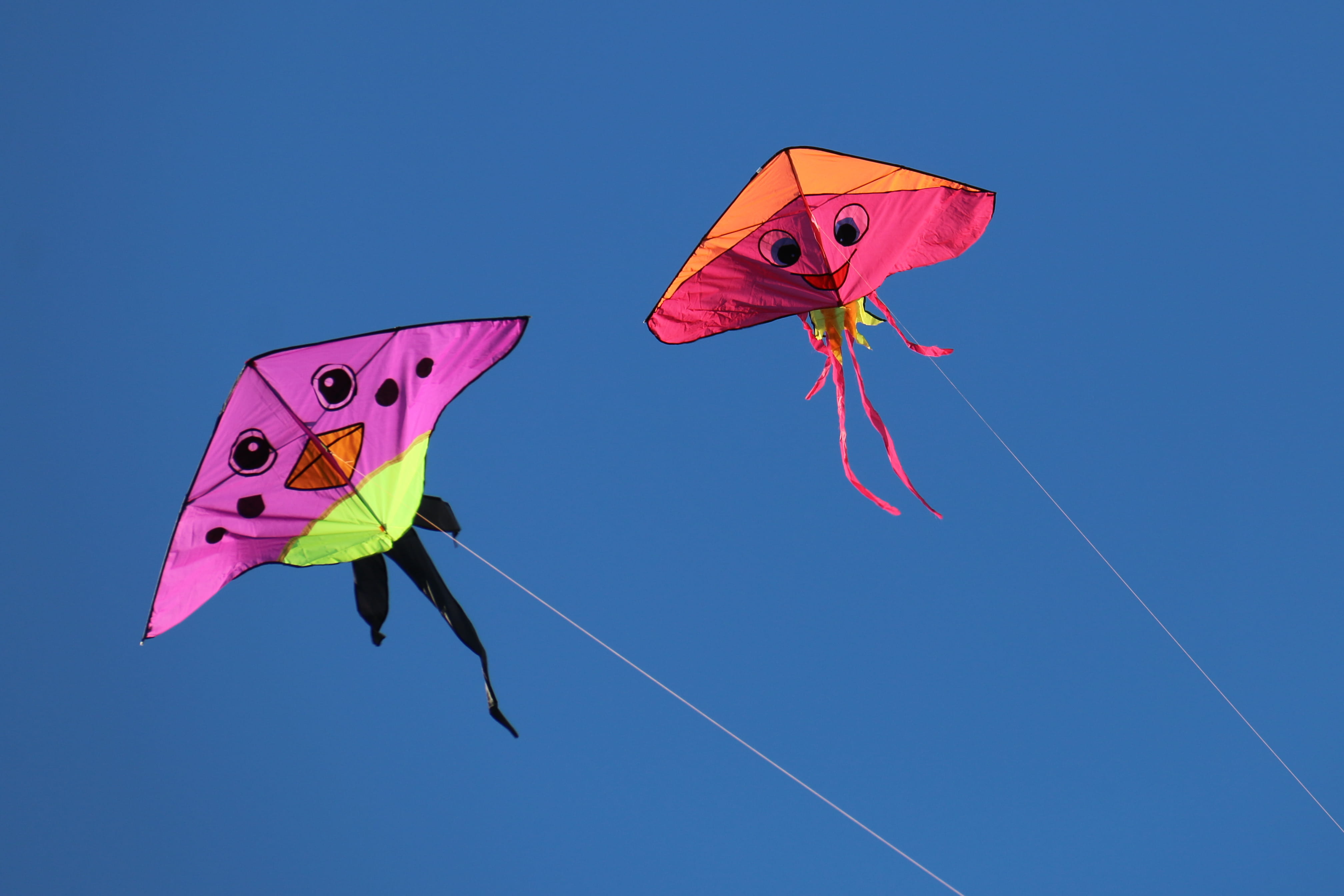 toy, animal wing, red, low, day, fly a kite, butterfly - insect, flying, two, kites, no people, purple, representation, invertebrate, sunny, nature, colour, HD Wallpaper