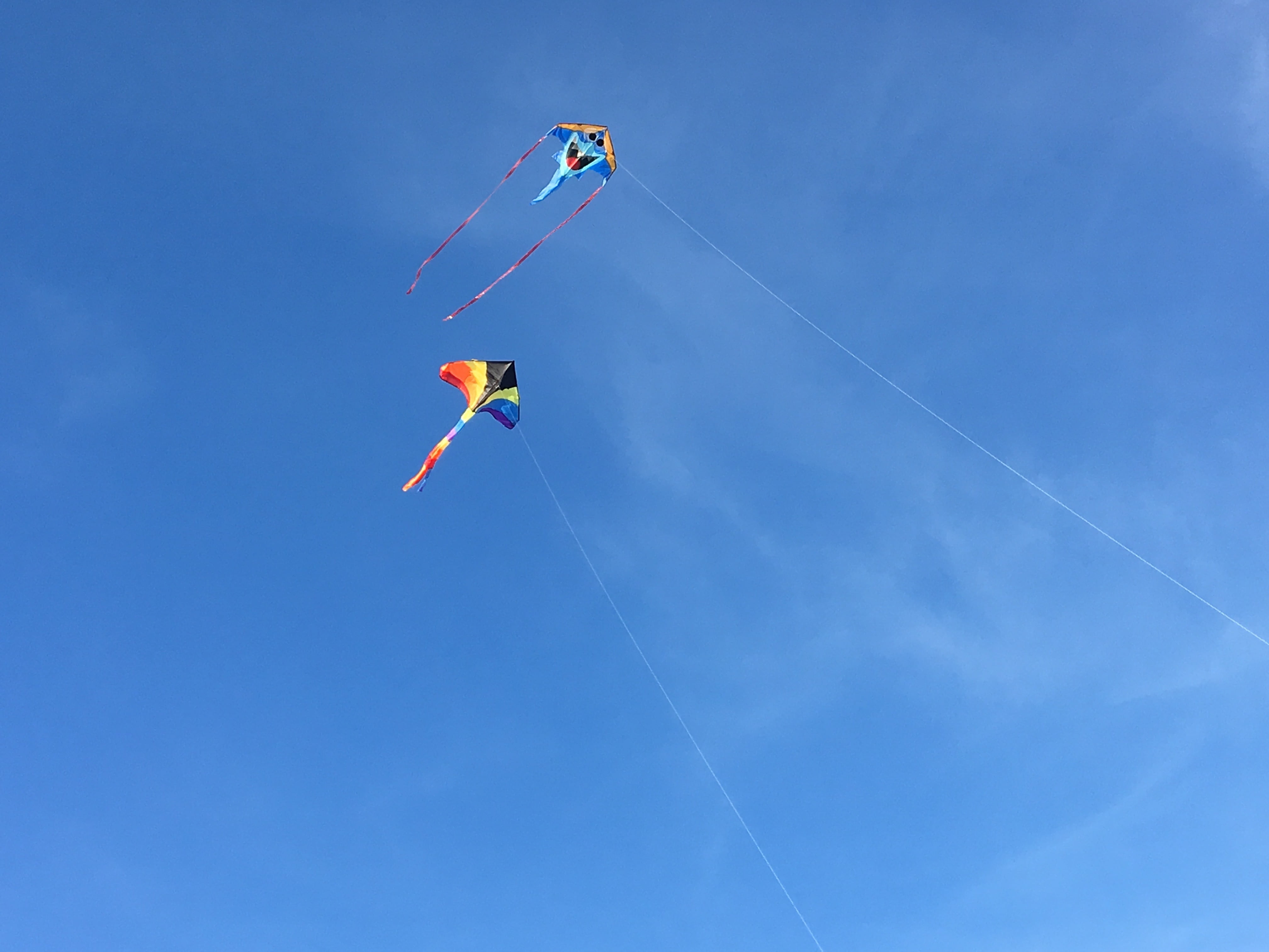 air vehicle, low angle view, nature, 4K, day, motion, flying, clouds, blue, vapor trail, dragon rising, leisure, sky, freedom, wind, kids dragon, dragons, HD Wallpaper