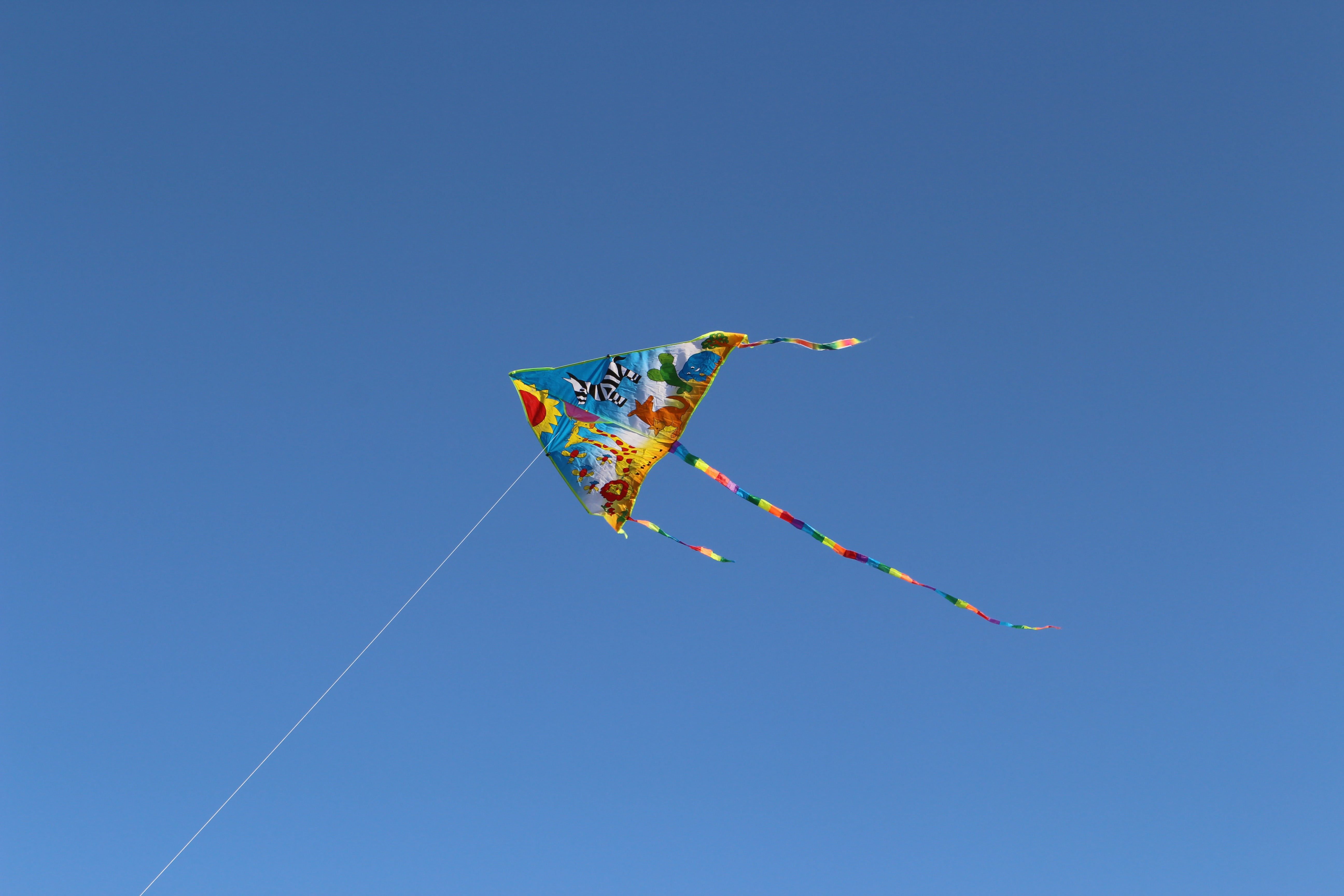 nature, clear sky, flying, sunny, art and craft, kite, kite - toy, dragon, sky, cant, string, no people, mid-air, environment, 5K, multi colored, blue, HD Wallpaper