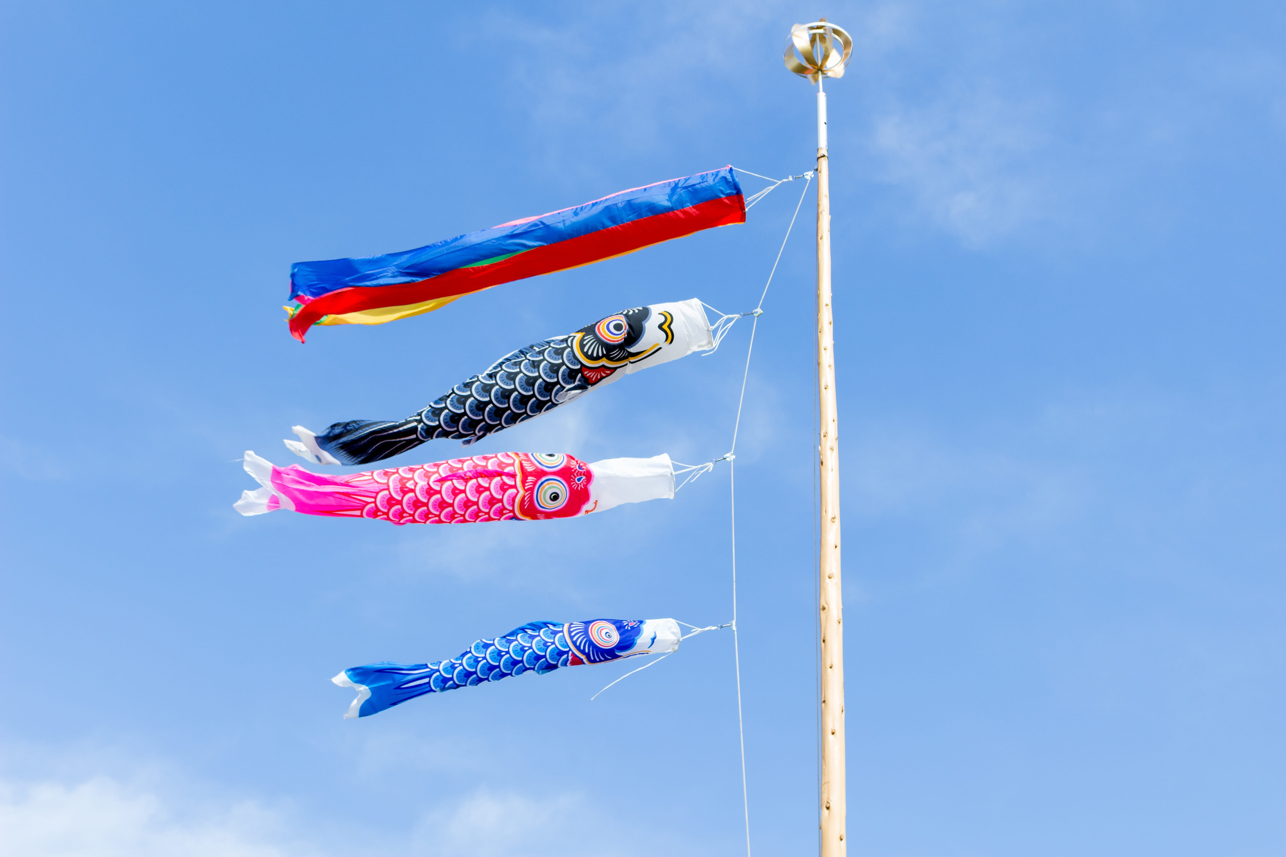 blue sky, flying, variation, fish, low angle view, vertebrate, blue, sky, airshow, outdoors, hanging, Carp, japan, flag, nature, no people, Festival, multi colored, HD Wallpaper