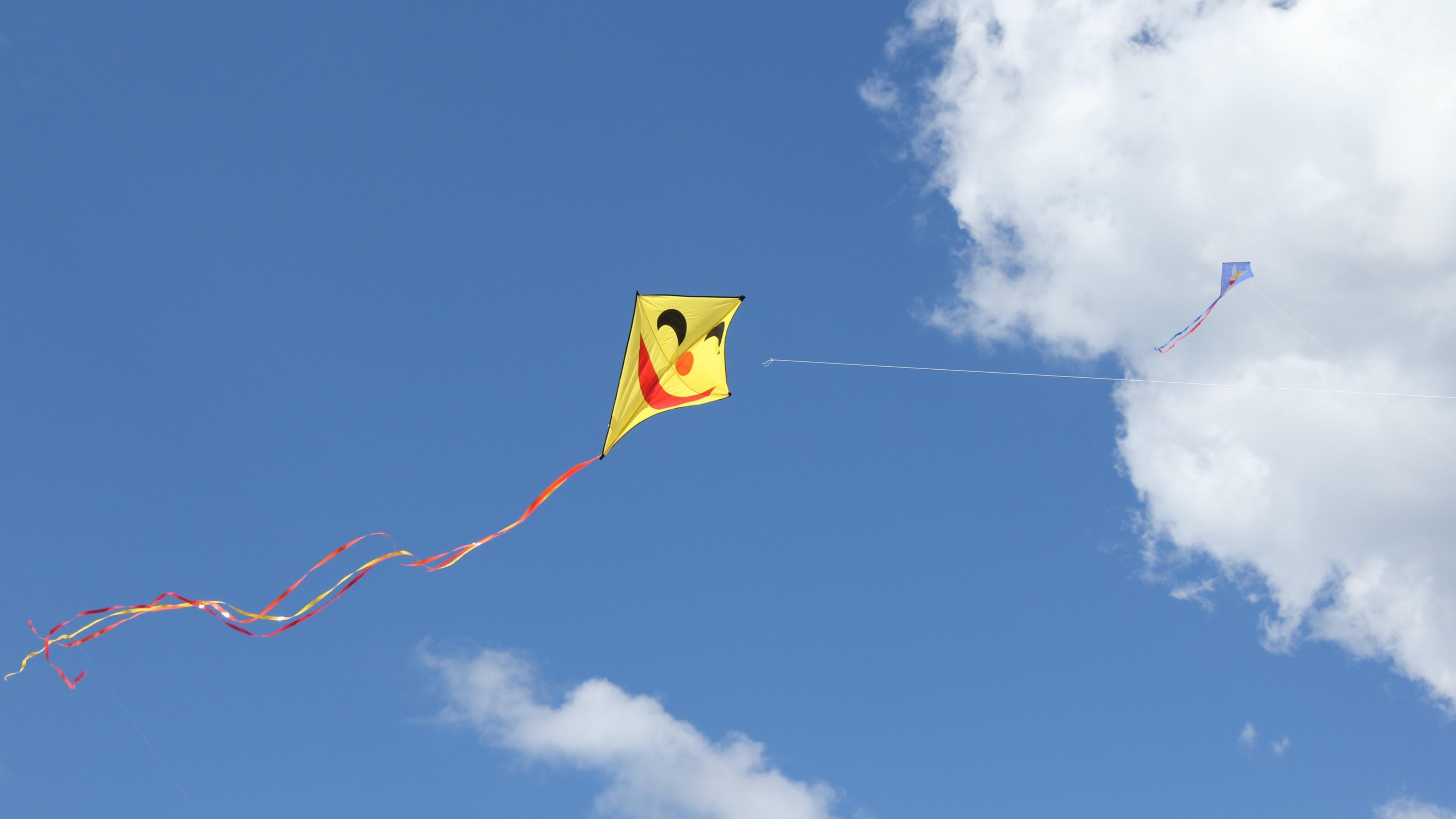 outdoors, wind, kite - toy, no people, flag, emotion, day, life, sky, representation, multi colored, low angle view, animal representation, environment, HD Wallpaper