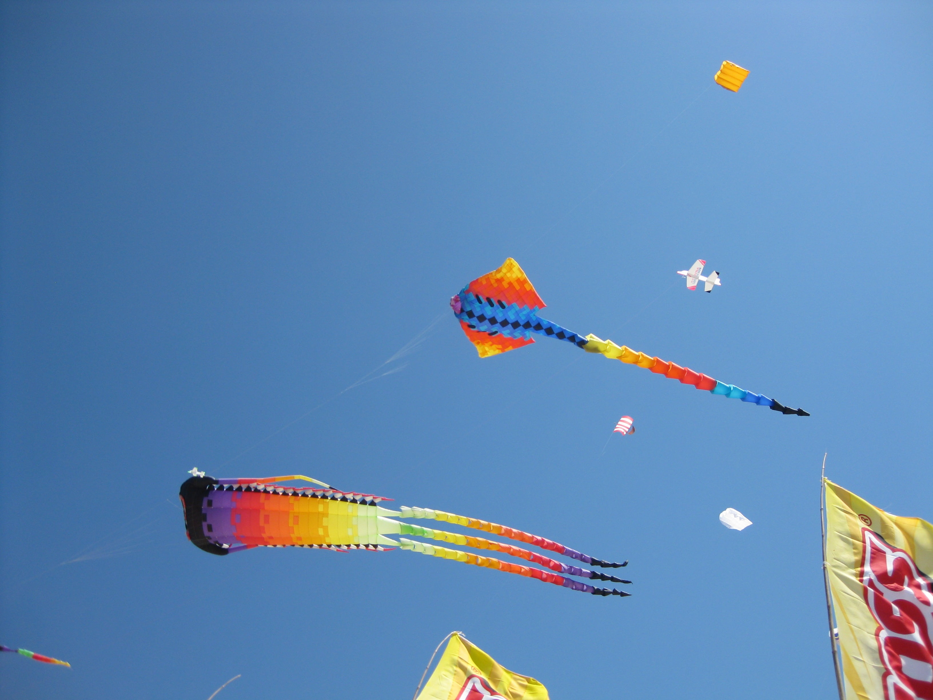 sky, nature, flying, blue, asian, multi colored, outdoors, copy space, playing, kite - toy, flag, fun, clear sky, 2K, celebration, sunny, environment, HD Wallpaper