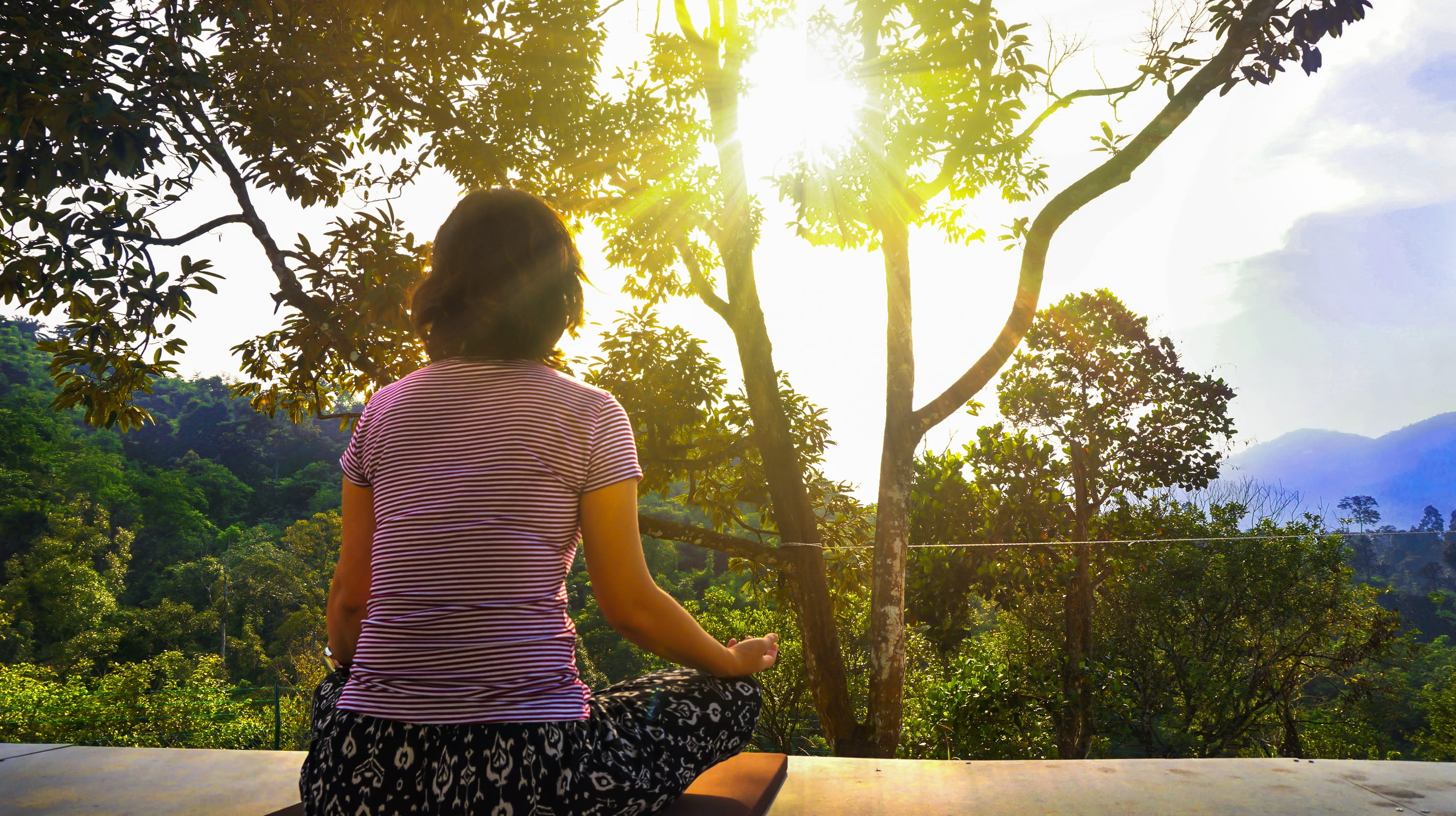 adult, standing, plant, only women, sitting, meditating, zen, lens flare, rear view, day, hairstyle, tree, relax, sunlight, striped, nature, real people, HD Wallpaper