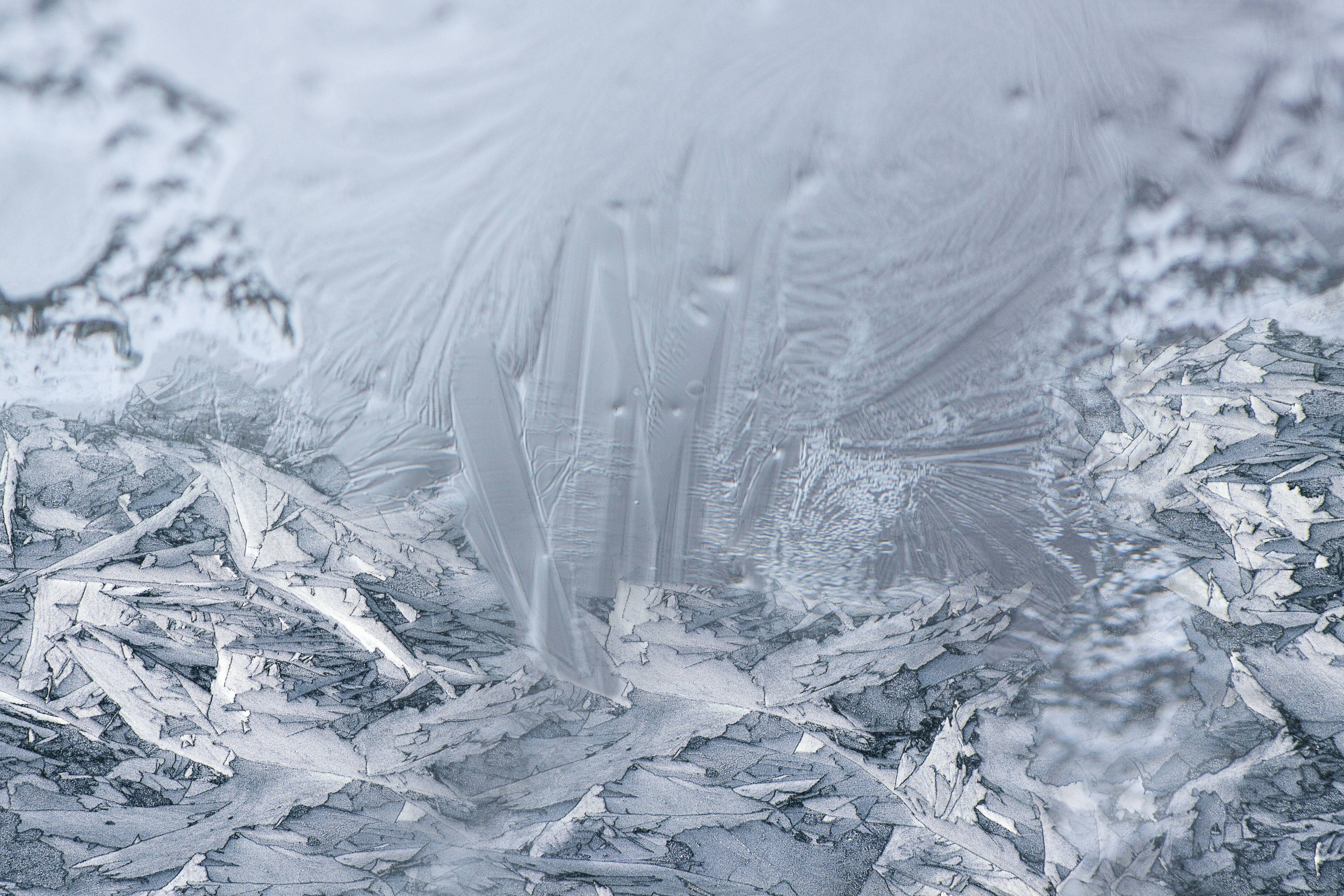 selective focus, white color, hardest, cold temperature, pattern, winter, close-up, softness, feather, eiskristalle, ice, window, macro, extreme close-up, HD Wallpaper
