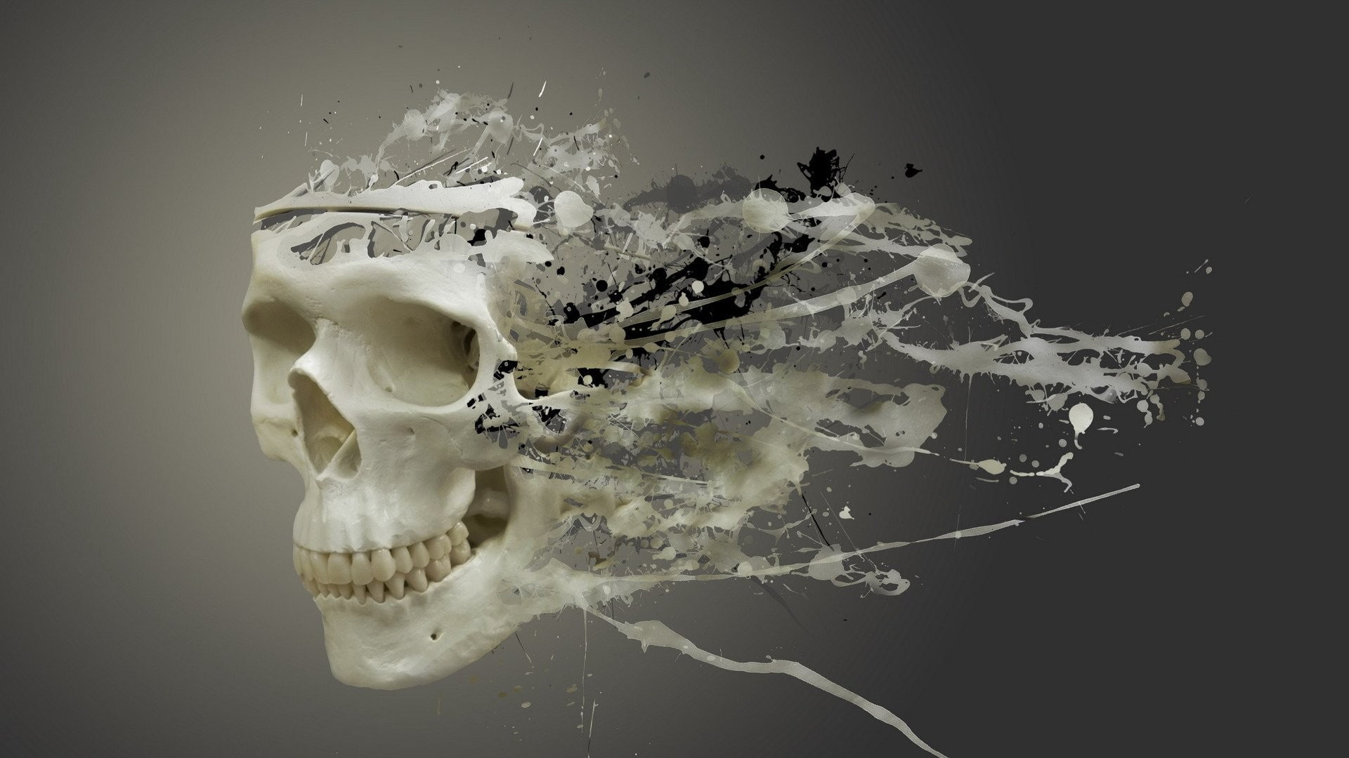 bone, broken, studio shot, damaged, digital art simple background skull teeth gray background paint splatter artwork, food, misfortune, black background, HD Wallpaper