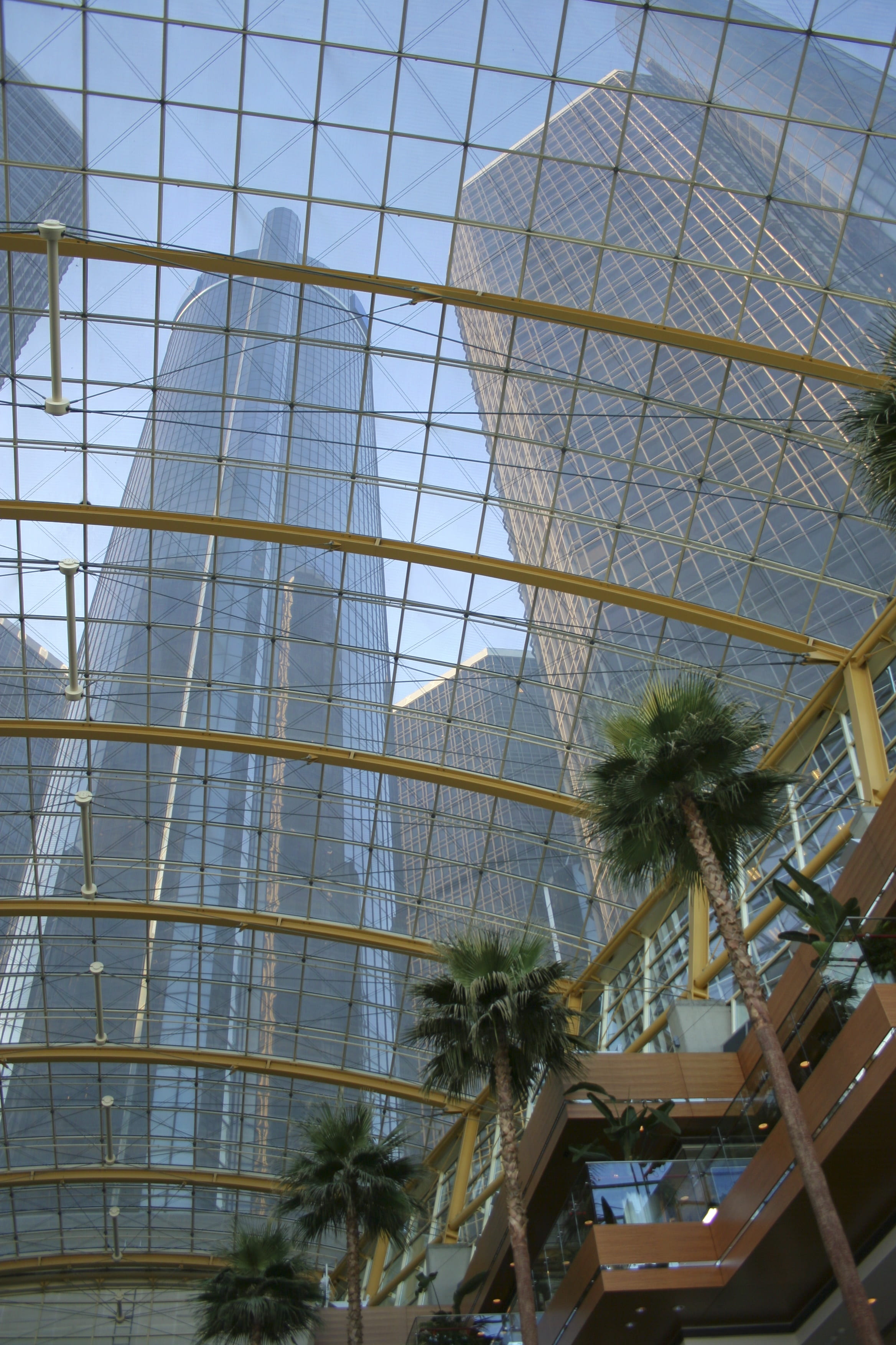 growth, skyline, finance, office, indoor, transparent, skyscraper, roof, building exterior, tropical climate, centre, no people, renaissance, office building exterior, Phone HD Wallpaper