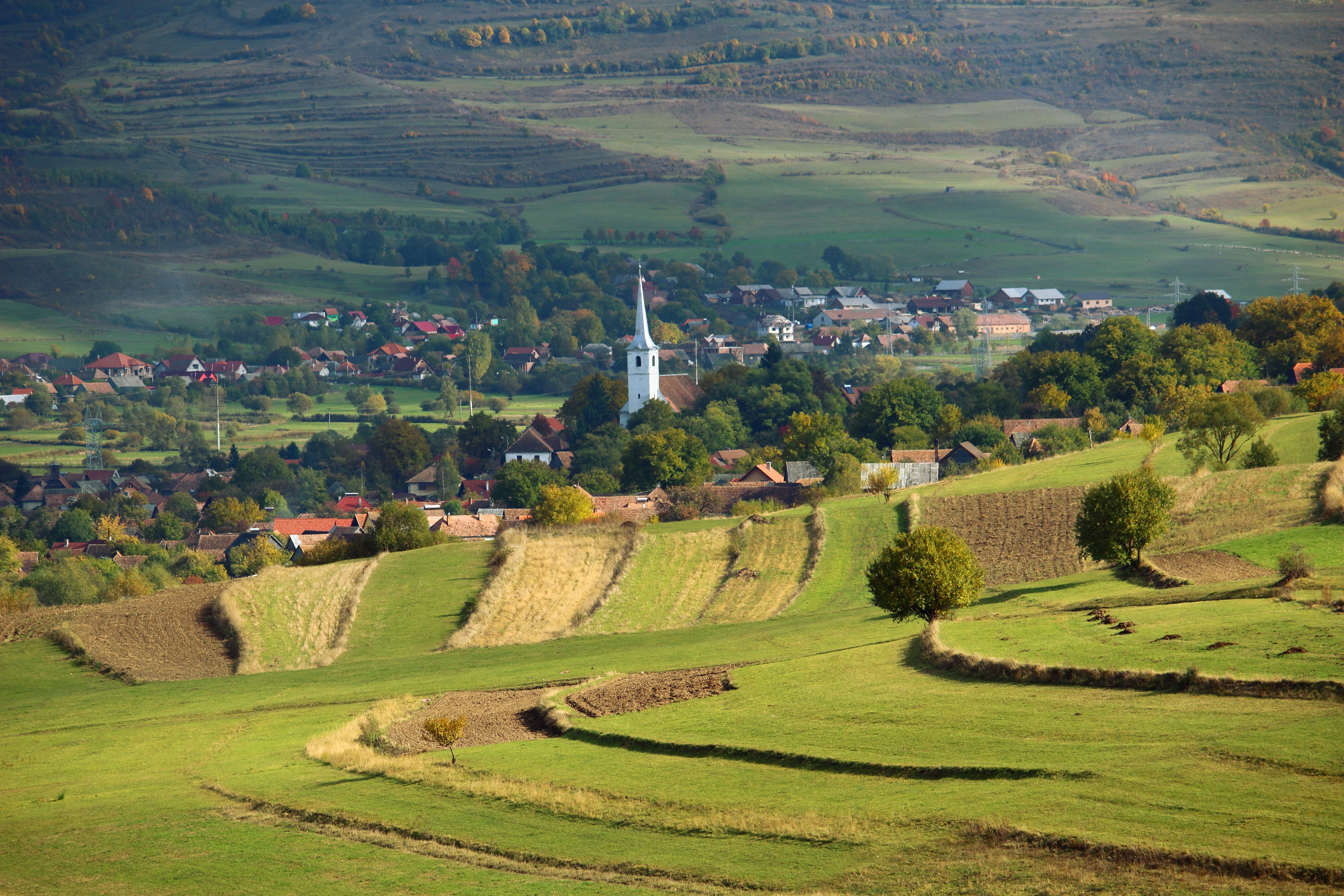 nature, transylvania, land, green color, tranquility, scenics - nature, environment, village, village life, growth, tranquil scene, no people, beauty in nature, HD Wallpaper