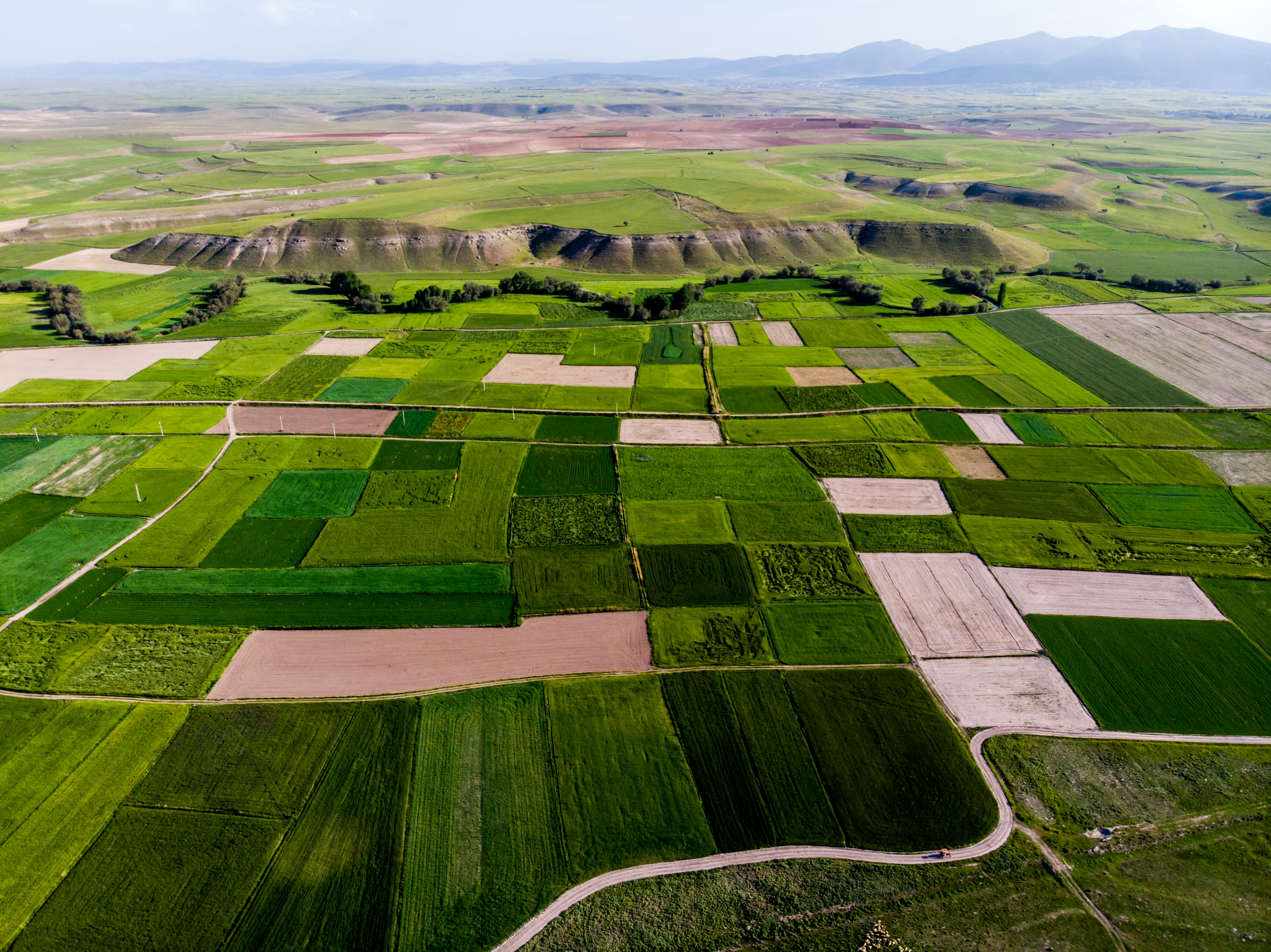 scenics - nature, outdoors, above, landscape, tranquility, beauty in nature, land, trees, green, drone, aerial view, shadow, path, plantation, mountains, HD Wallpaper