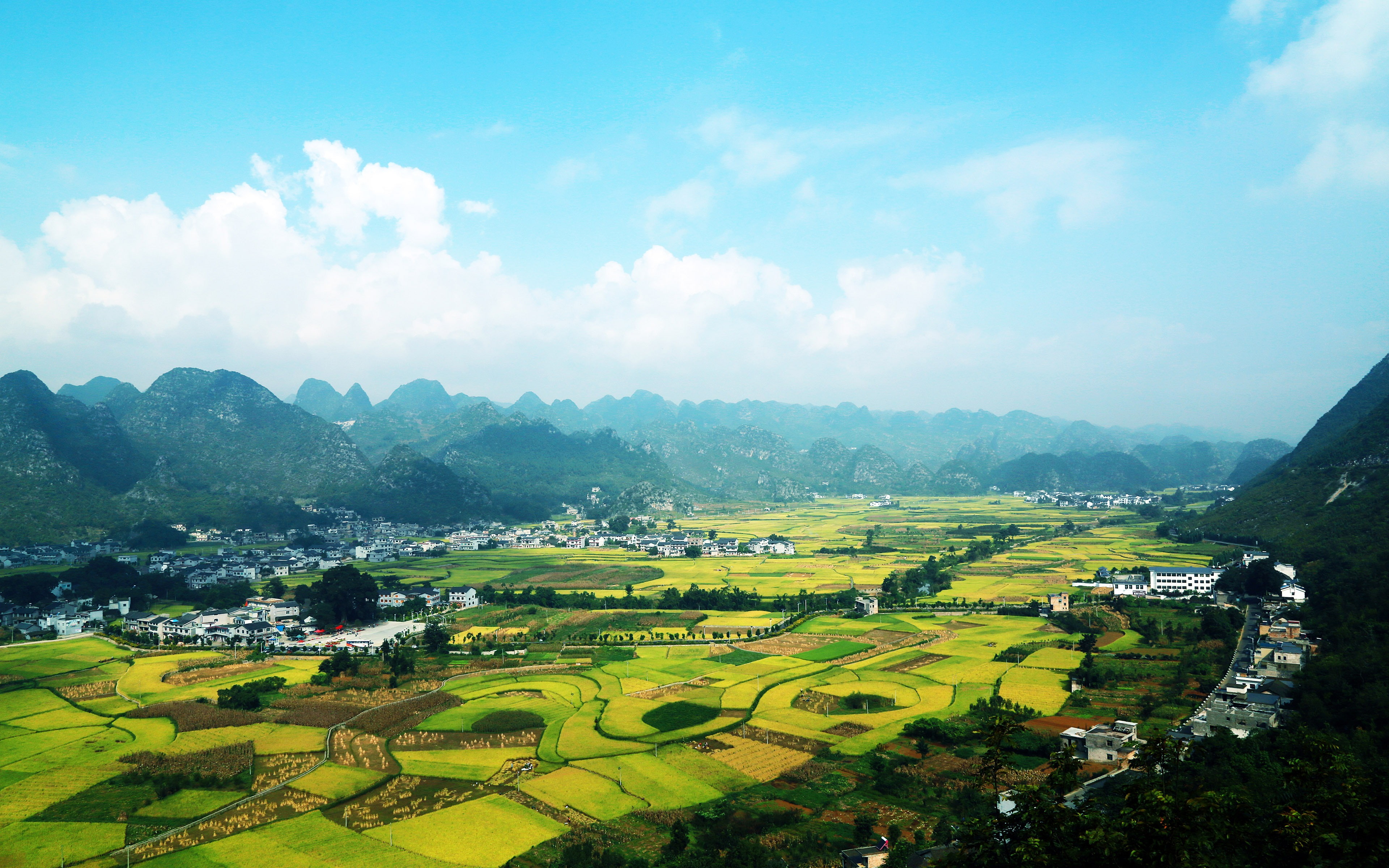 landscape, tranquility, jinqiu, outdoors, 4K, beauty in nature, agriculture, land, plantation, plant, green color, nature, cultivated land, environment, HD Wallpaper