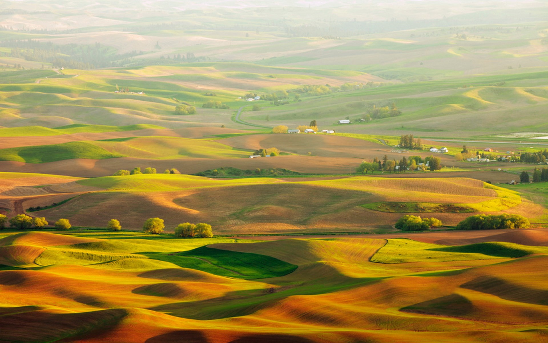 outdoors, field, scenics - nature, rural scene, beauty in nature, plant, no people, nature, growth, farm, green color, tranquility, rolling landscape, idyllic, HD Wallpaper