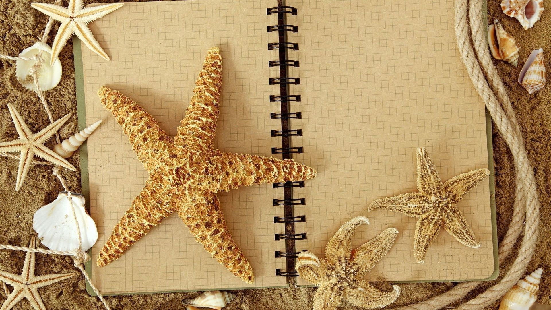 starfish, life, 1080P, echinoderm, texture, lace, design, decoration, holiday, HD Wallpaper
