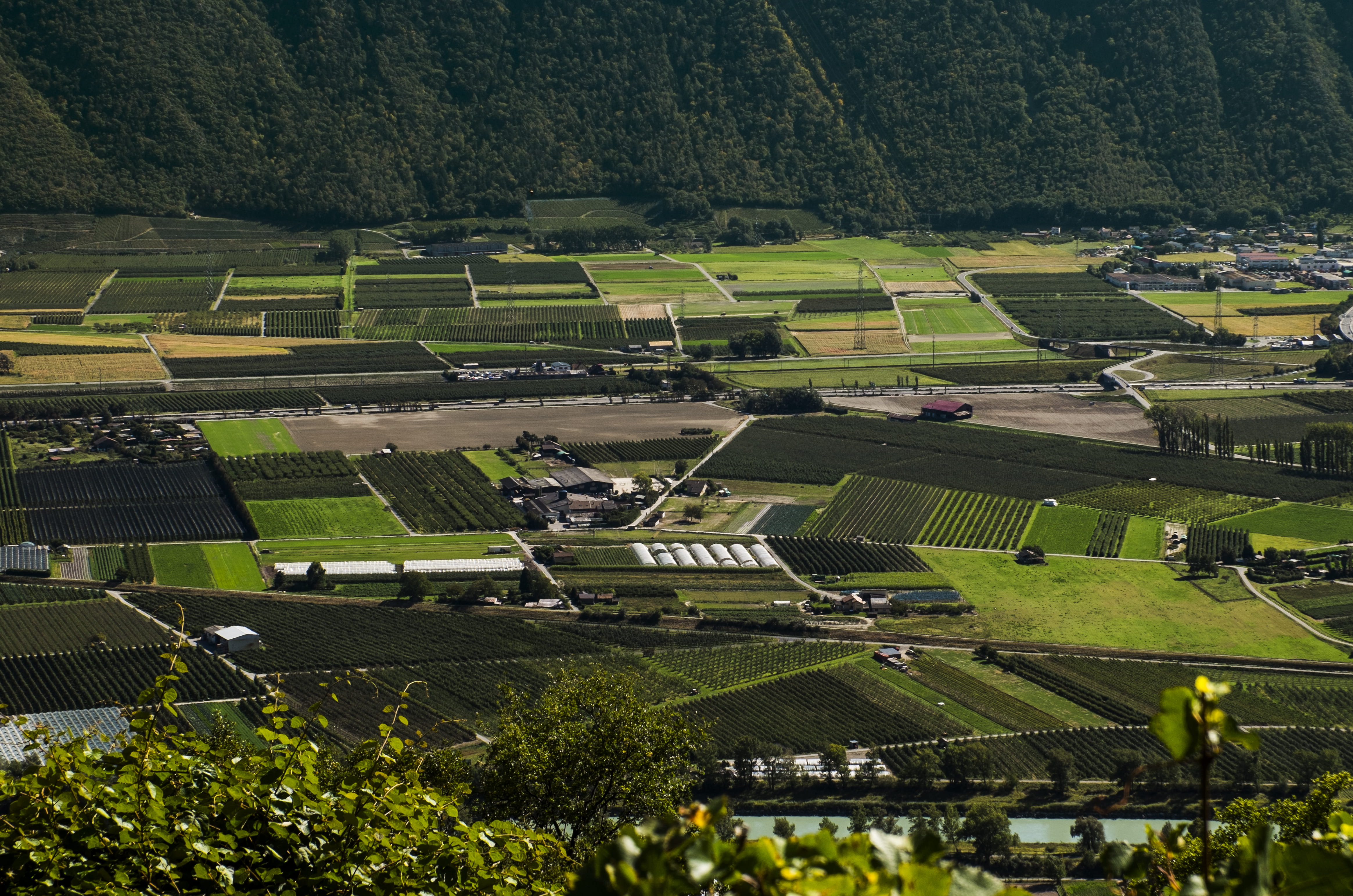 mountain, no people, aerial view, flyview, field, rural scene, architecture, high angle view, plantation, nature, day, suisse, 4K, green color, land, landscape, HD Wallpaper