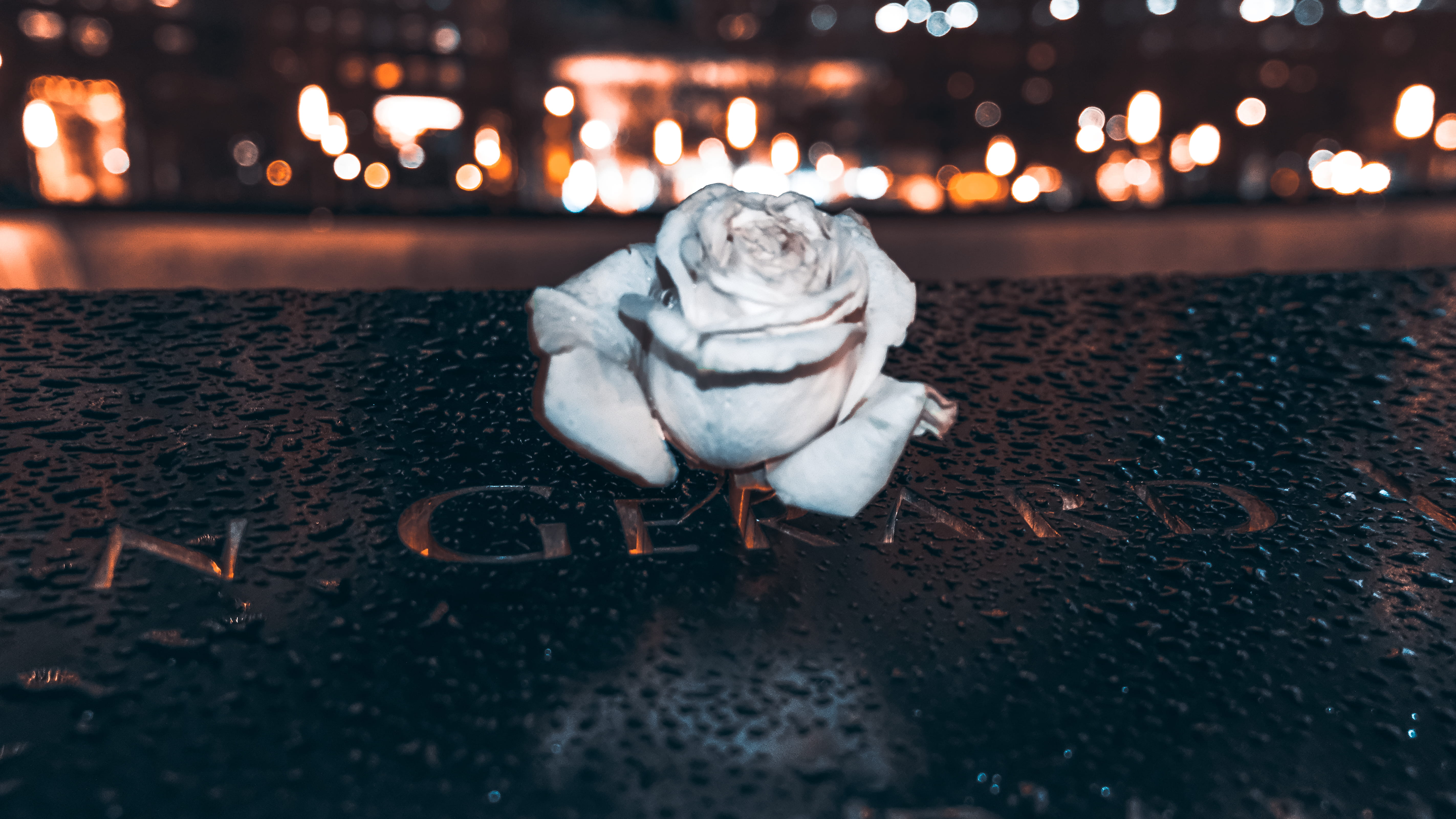 headstone, new york city, september 11, nature, nyc, no people, city, city night, christmas lights, representation, bokeh, focus on foreground, art and craft, HD Wallpaper