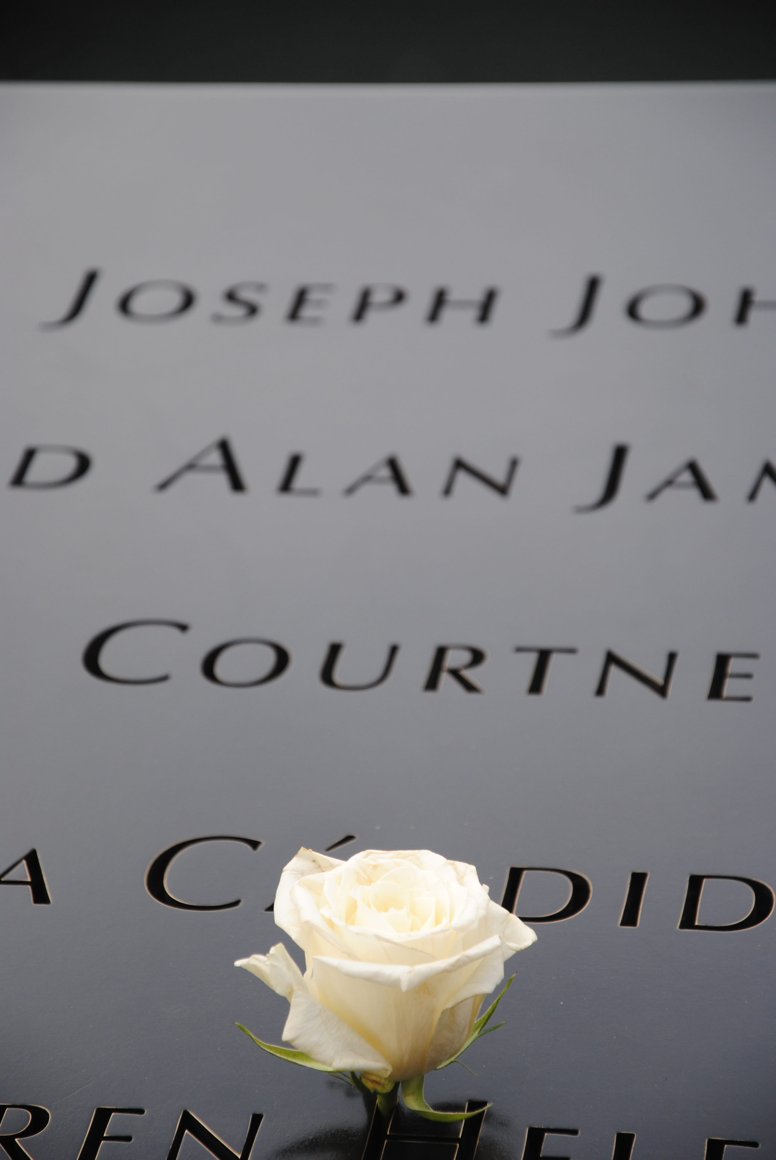 day, close-up, western script, no people, america, still life, new york city, manhattan, world trade center memorial, drink, temptation, september 11 2001, Phone HD Wallpaper