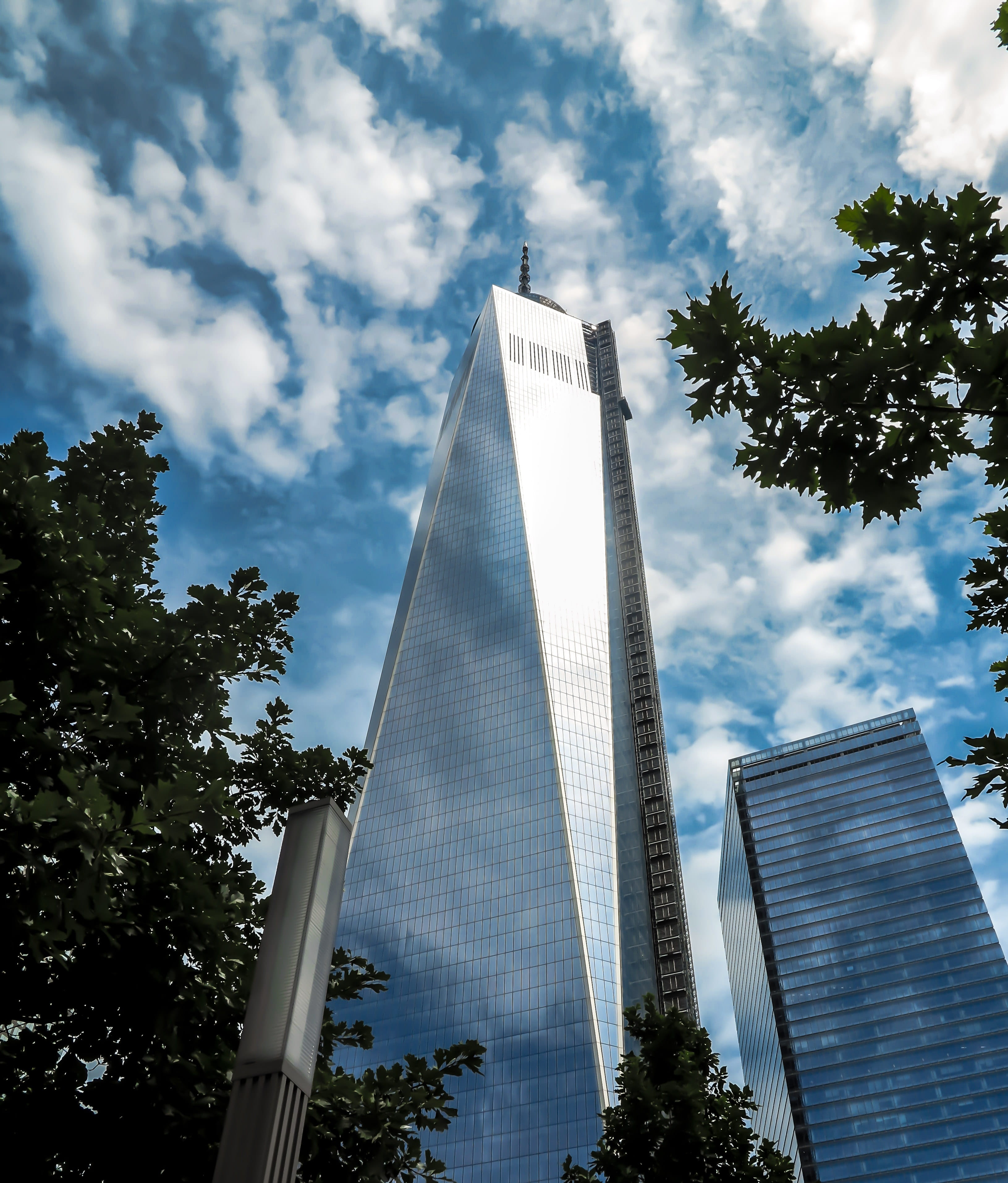 built structure, office, office building, ground zero, building glass, building, scraper, tree, office building exterior, sky, skyscraper, spire, futuristic, Phone HD Wallpaper