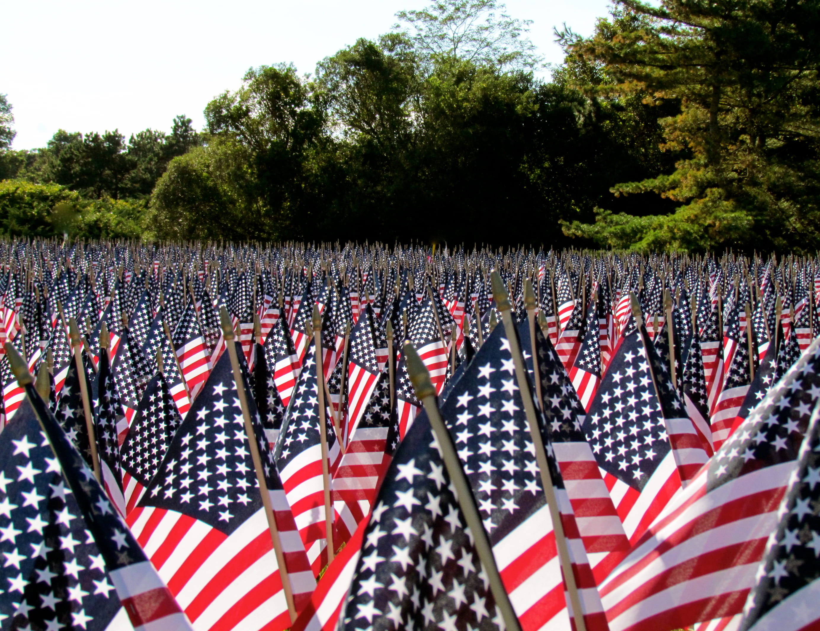 flags, 9/11, tree, sky, memorial, no people, star shape, plant, sunlight, beauty in nature, nature, 9/11 memorial, american flag, outdoors, shape, red, HD Wallpaper