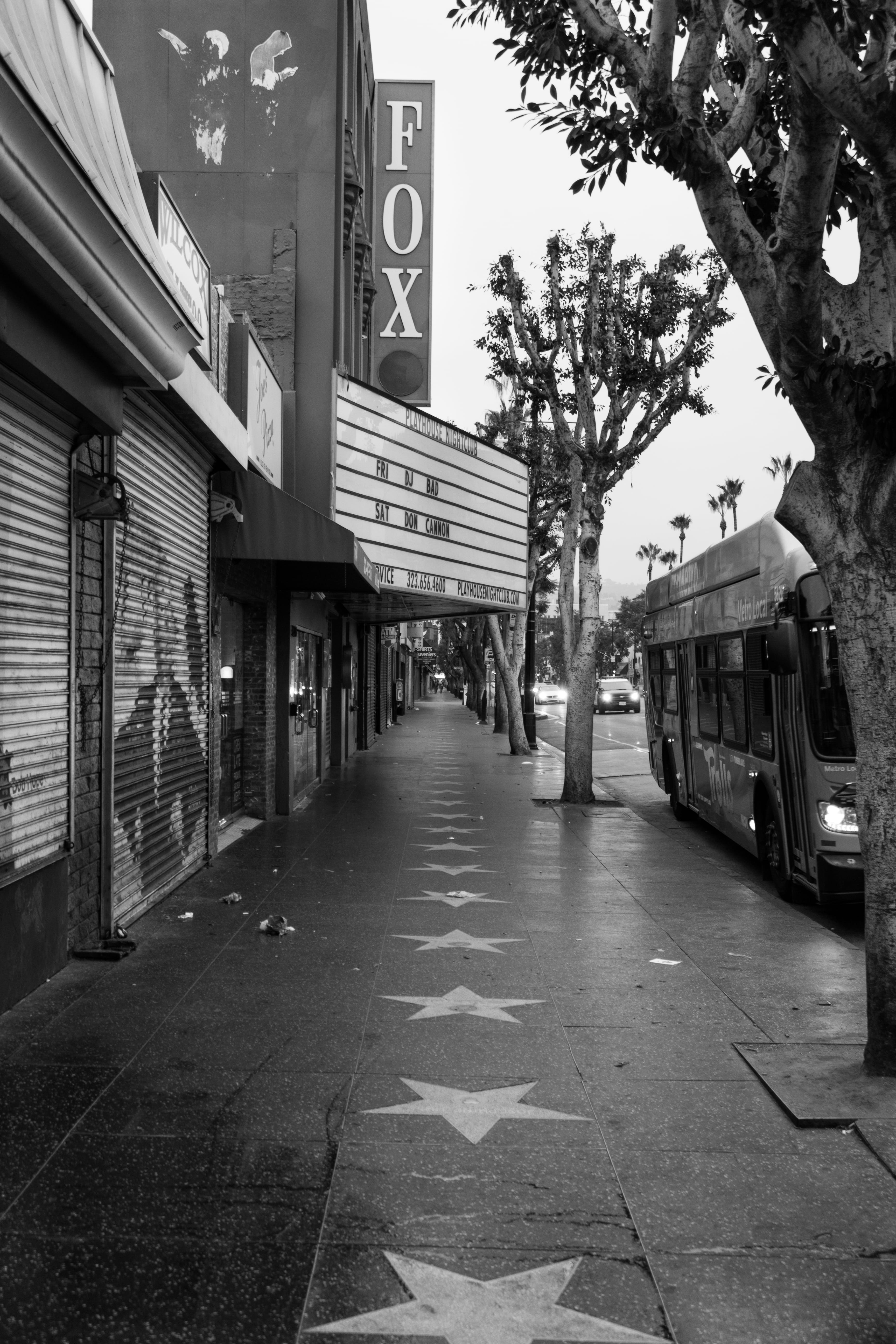 text, no people, mode of transportation, transportation, public transportation, street, architecture, building, black and white, trees, cars, los angeles, Phone HD Wallpaper