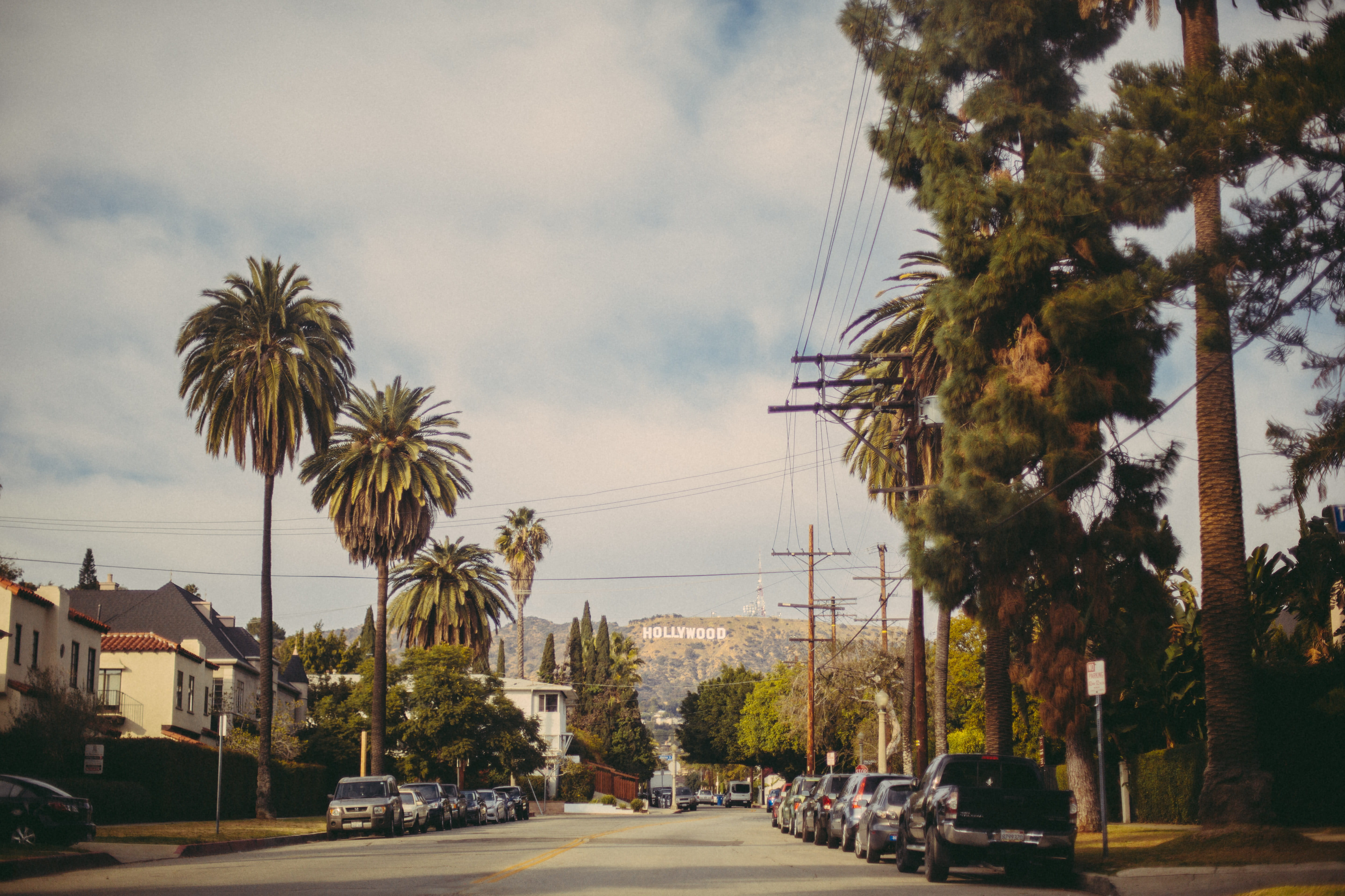 transportation, mode of transportation, motion, no people, hollywood, day, nature, city, 5K, sky, built structure, palm tree, plant, treelined, california, HD Wallpaper