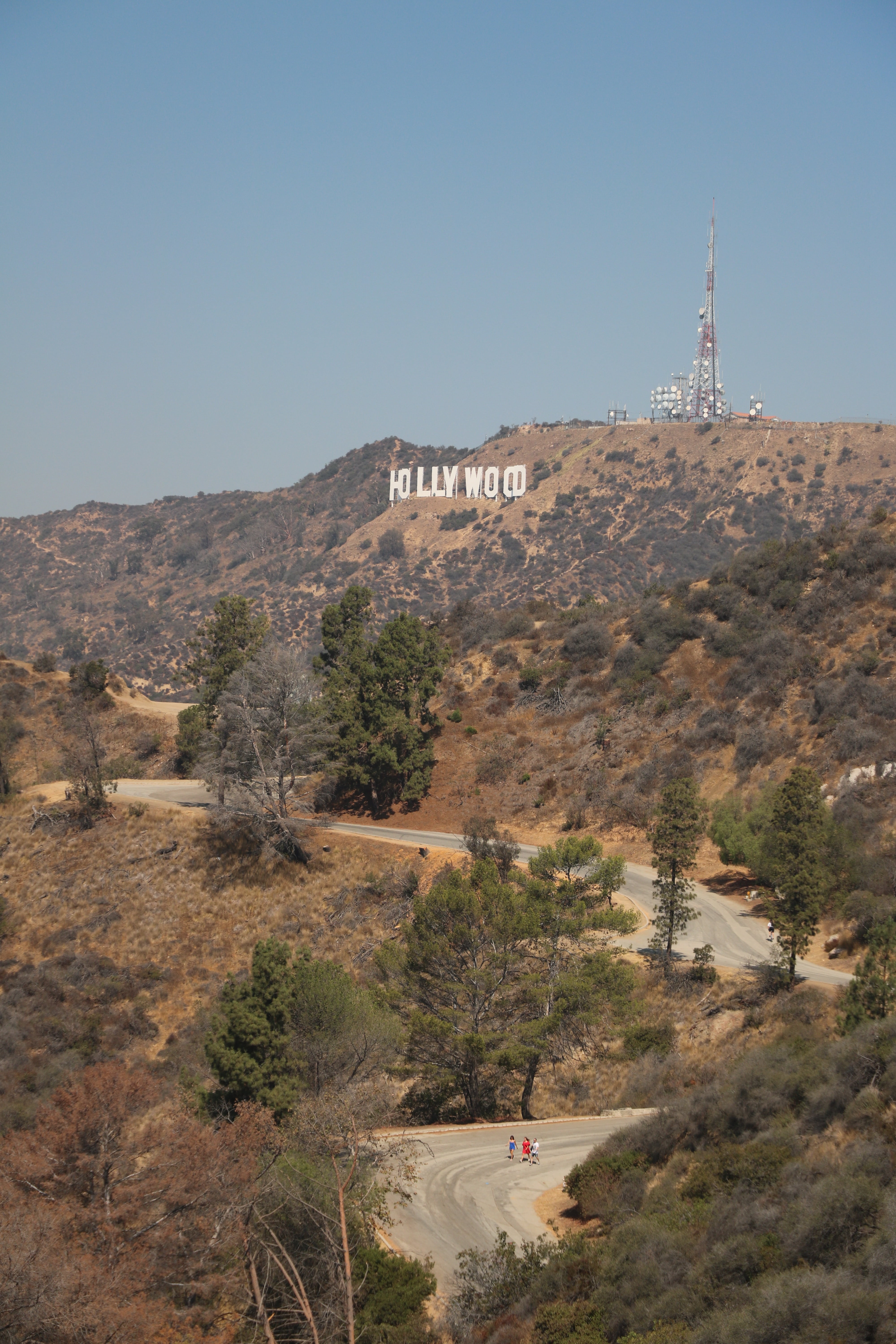 building, building exterior, land, sign, mountain, climate, no people, built structure, travel, tree, beauty in nature, 5K, tower, los angeles, california, Phone HD Wallpaper