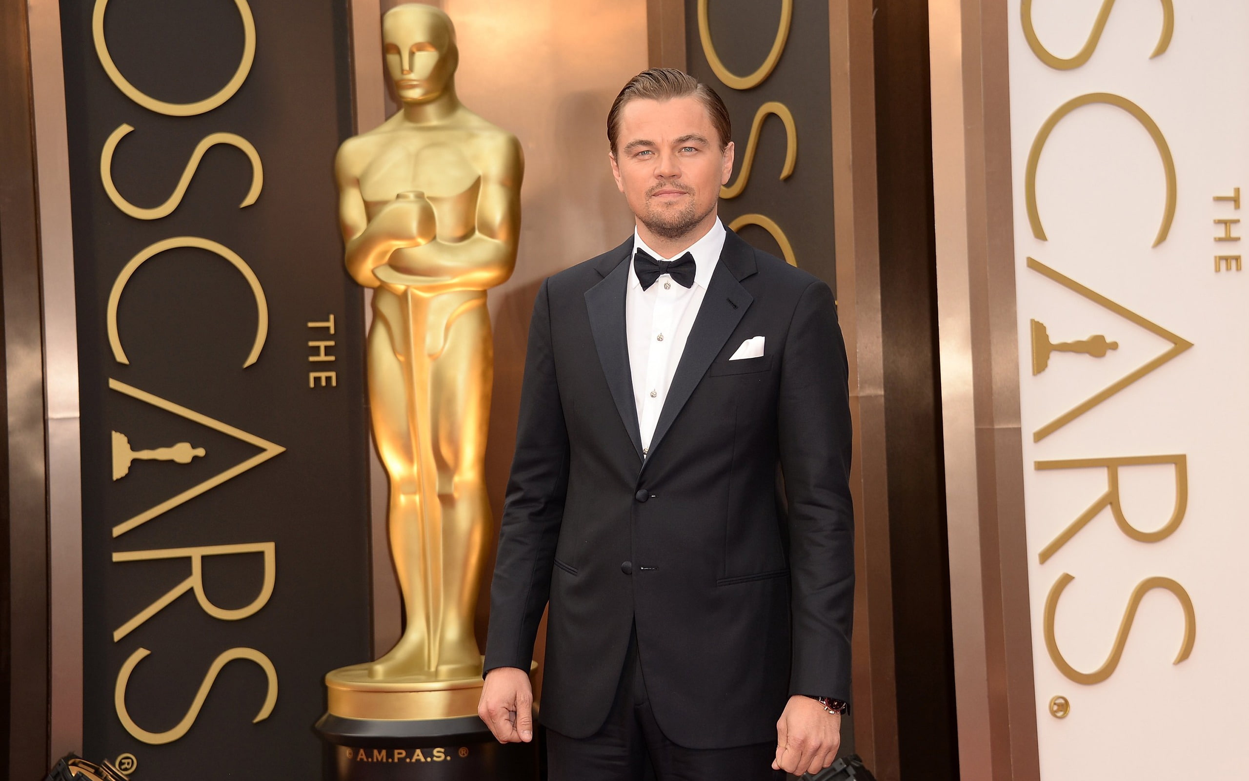 front view, leonardo, young adult, standing, indoors, portrait, one person, th, luxury, young men, confidence, wallpa, business, dicaprio, formalwear, men, HD Wallpaper