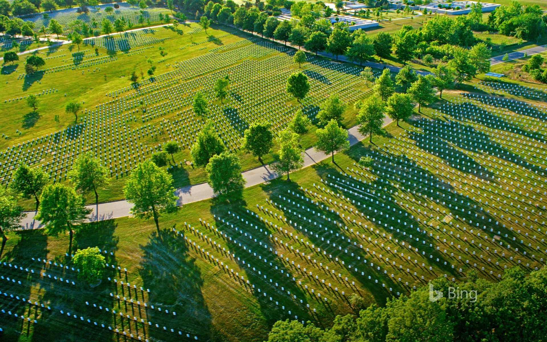 national, beauty in nature, cemetery, tranquil scene, 1080P, crop, day, high angle view, plantation, plant, tranquility, growth, landscape, rural scene, HD Wallpaper