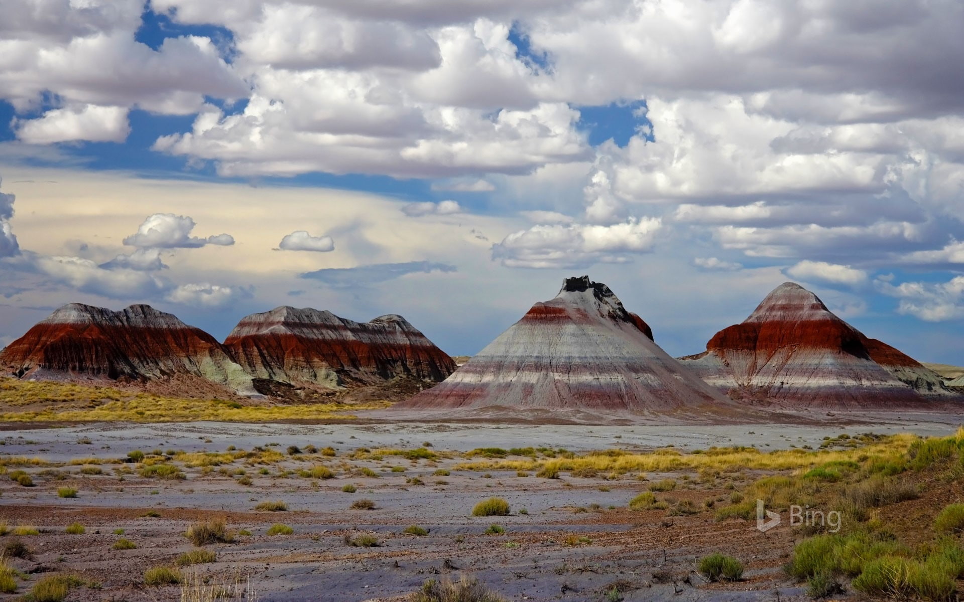 mountain, tranquility, nature, bing, d, physical geography, tranquil scene, sky, arizona, beauty in nature, forest, rock, petrified, environment, national, HD Wallpaper